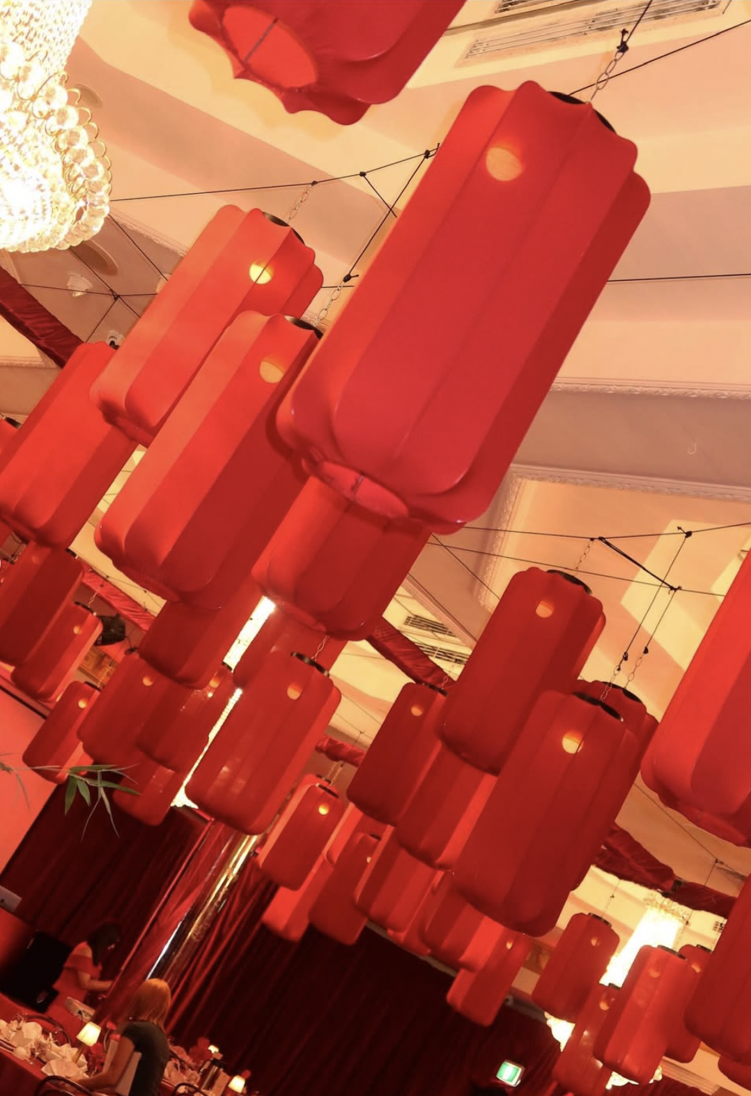 Screenshot 2026-02-11 at 7.30.06 pm.png