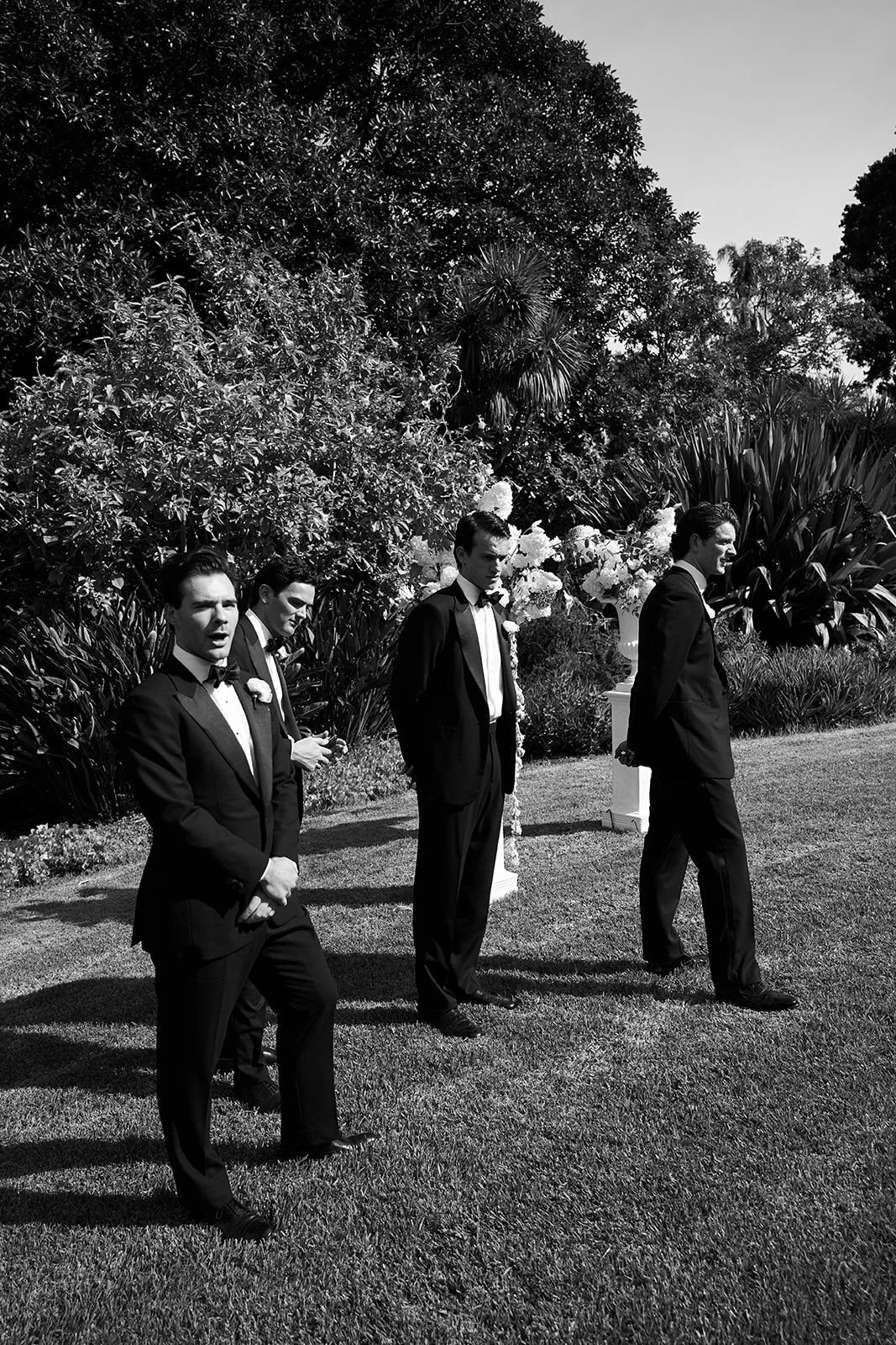 WhatsApp Image 2025-08-11 at 06.35.48.jpeg