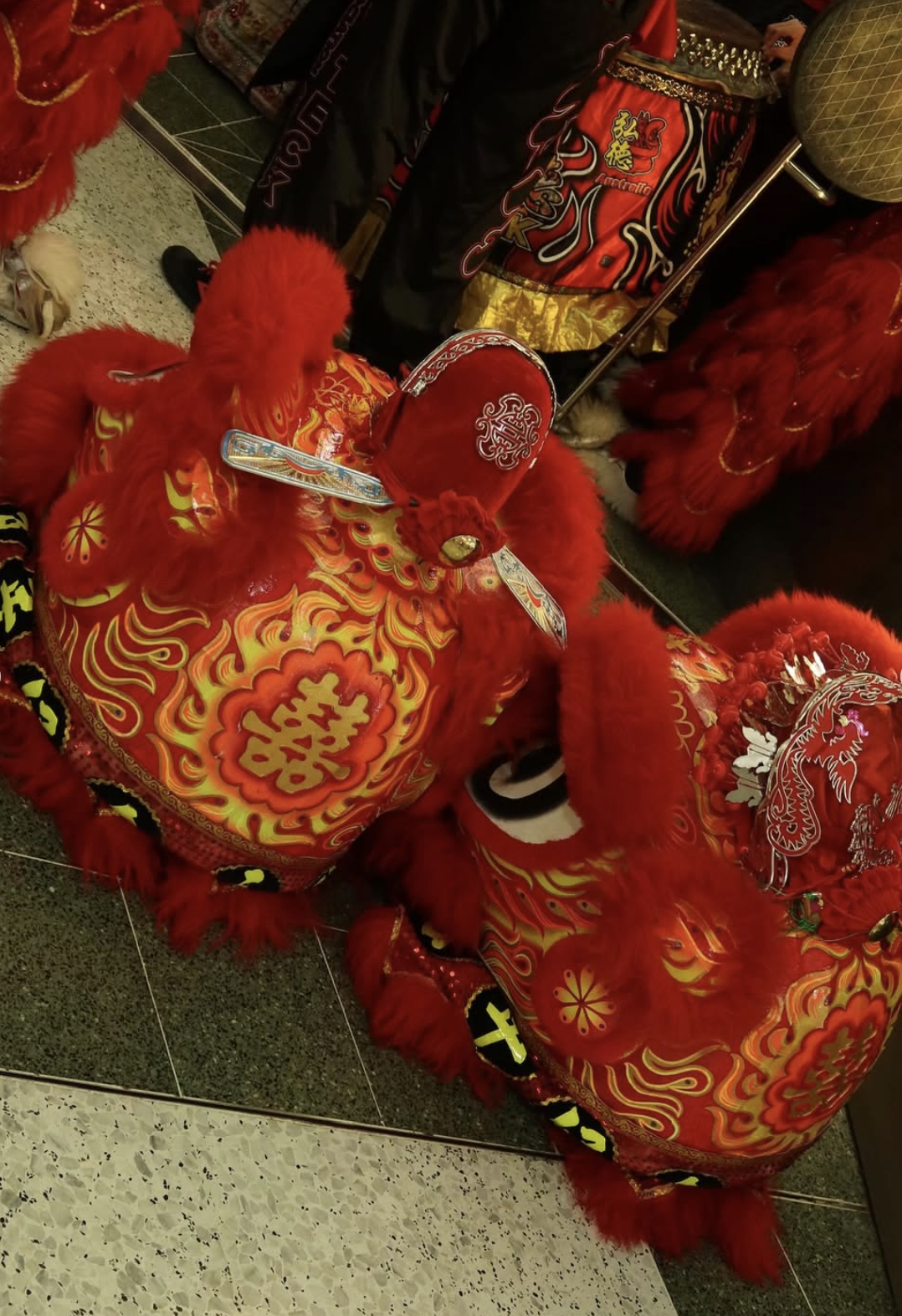 Screenshot 2026-02-11 at 7.29.23 pm.png