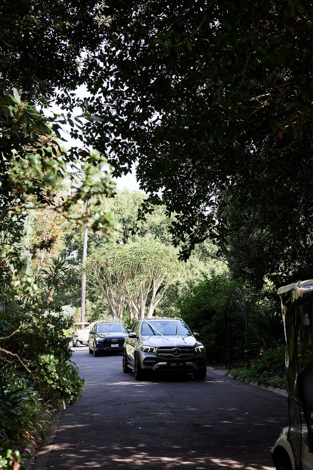 WhatsApp Image 2025-08-11 at 06.35.48 (2).jpeg