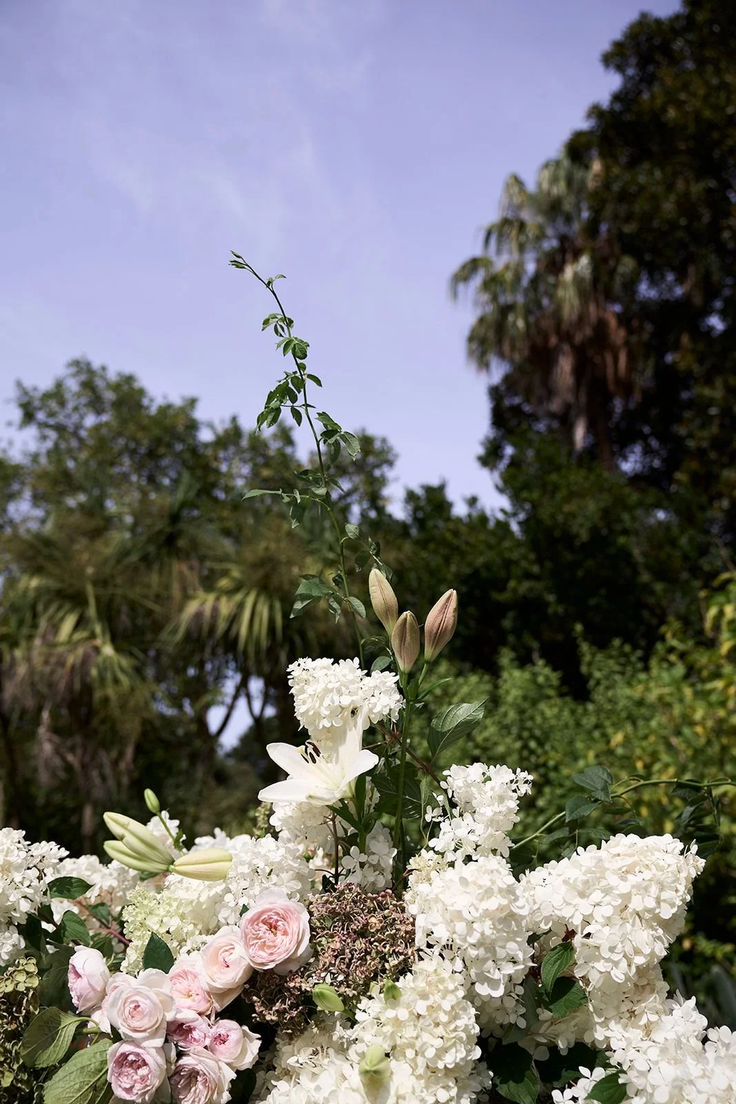 WhatsApp Image 2025-08-11 at 06.35.46.jpeg