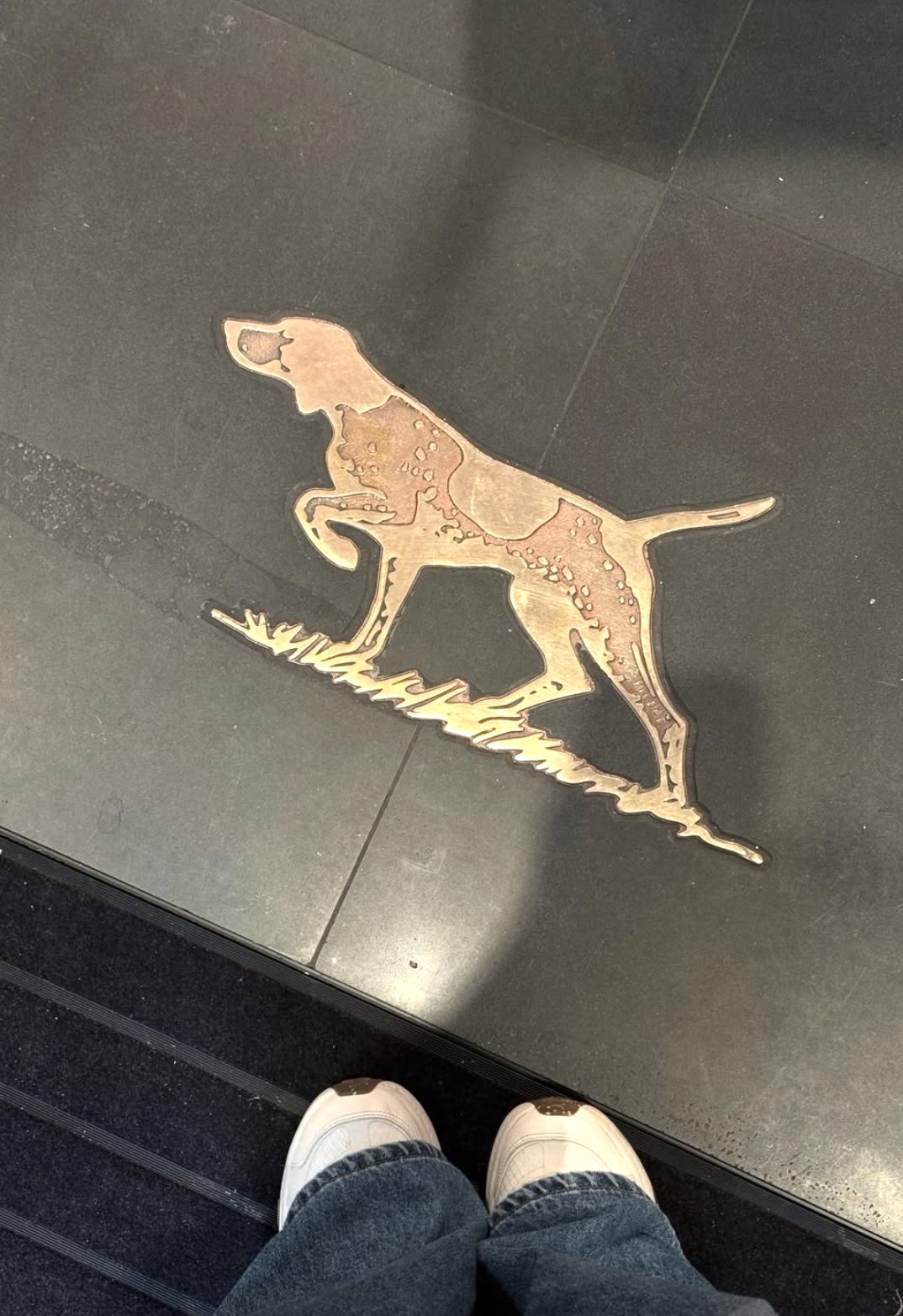 Screenshot 2026-02-11 at 5.26.24 pm.png