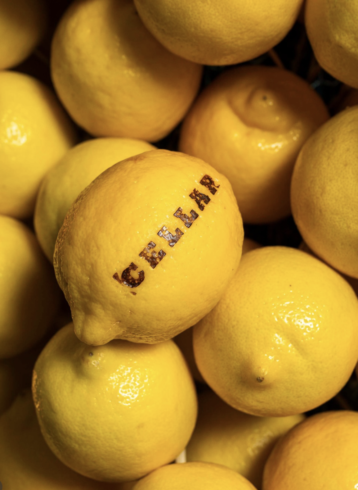 Screenshot 2026-02-11 at 5.24.00 pm.png