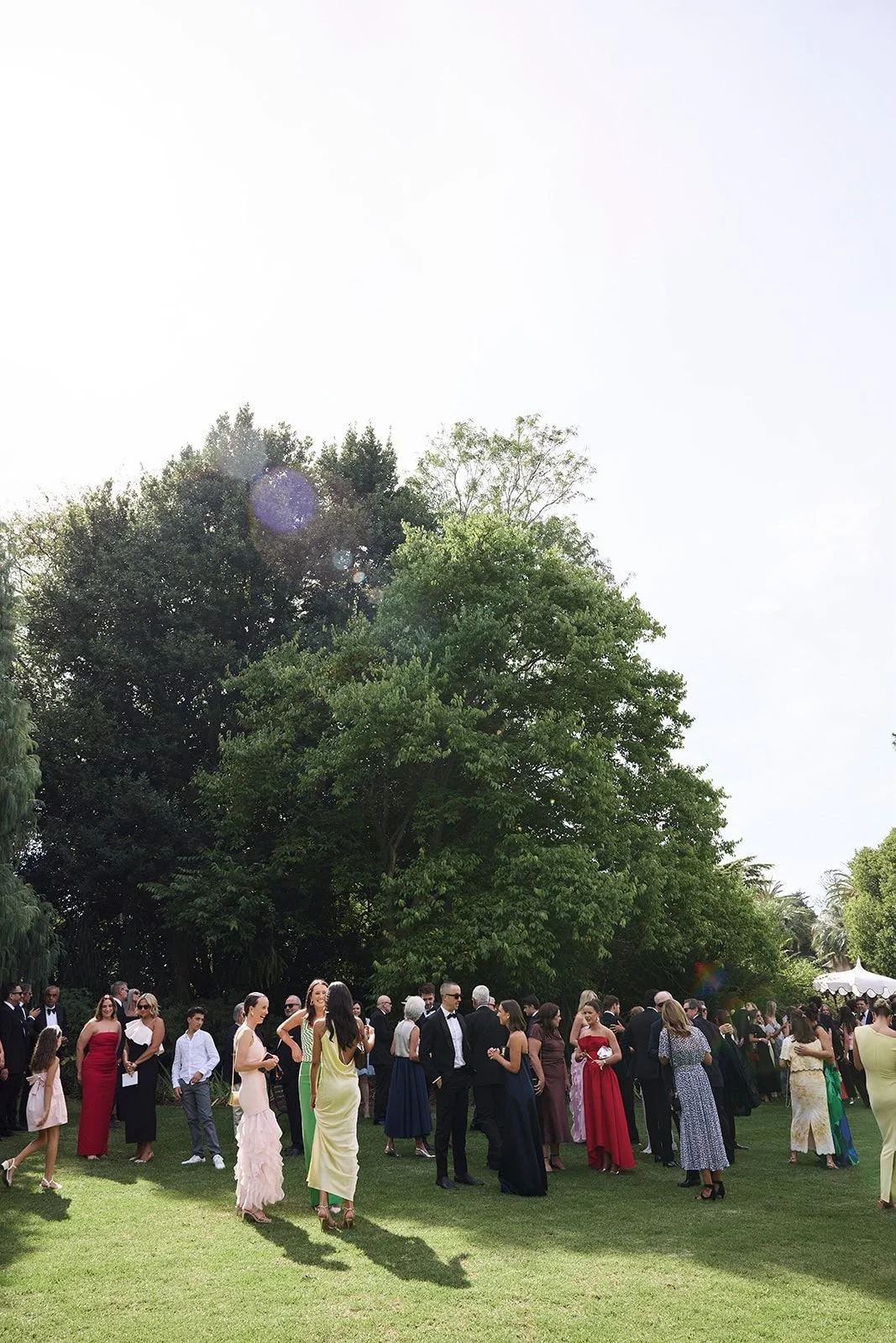 WhatsApp Image 2025-08-11 at 06.35.47 (1).jpeg