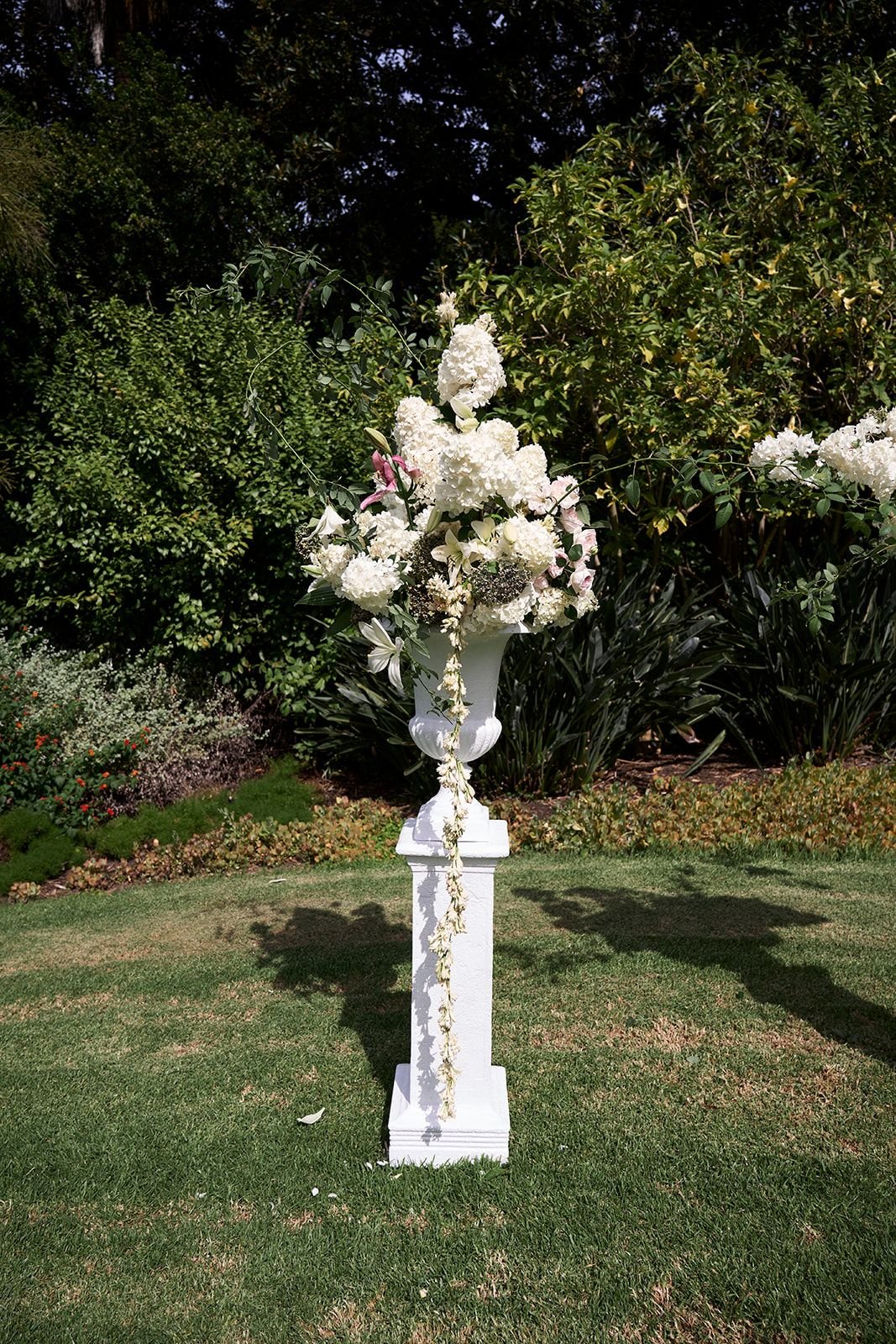 WhatsApp Image 2025-08-11 at 06.35.46 (2).jpeg