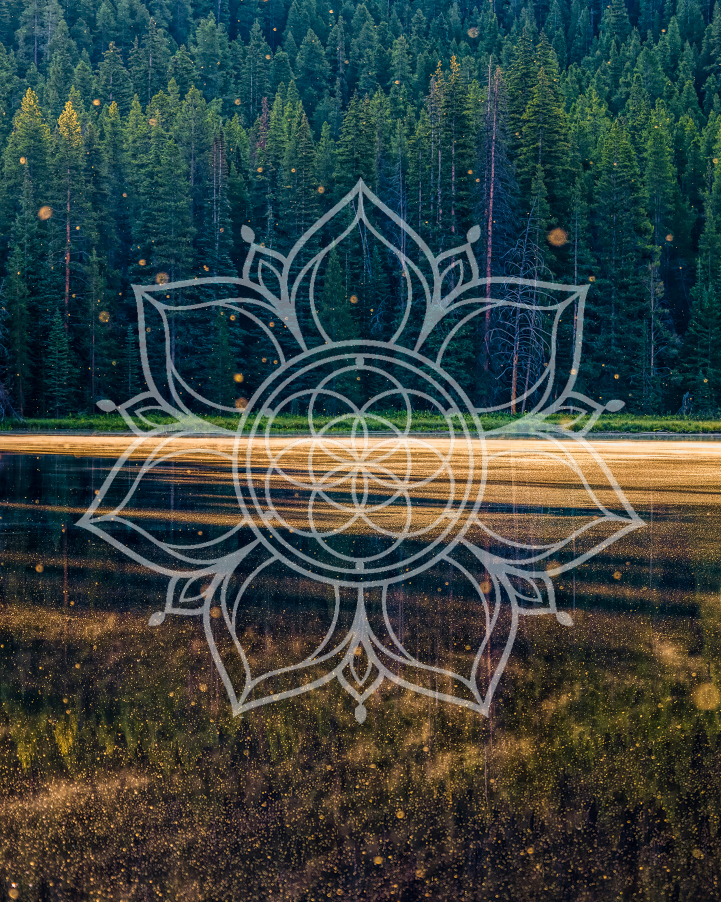A forest of tall green pine trees reflected in a body of water, with a large semi-transparent sacred mandala overlay and glowing golden particles scattered throughout.