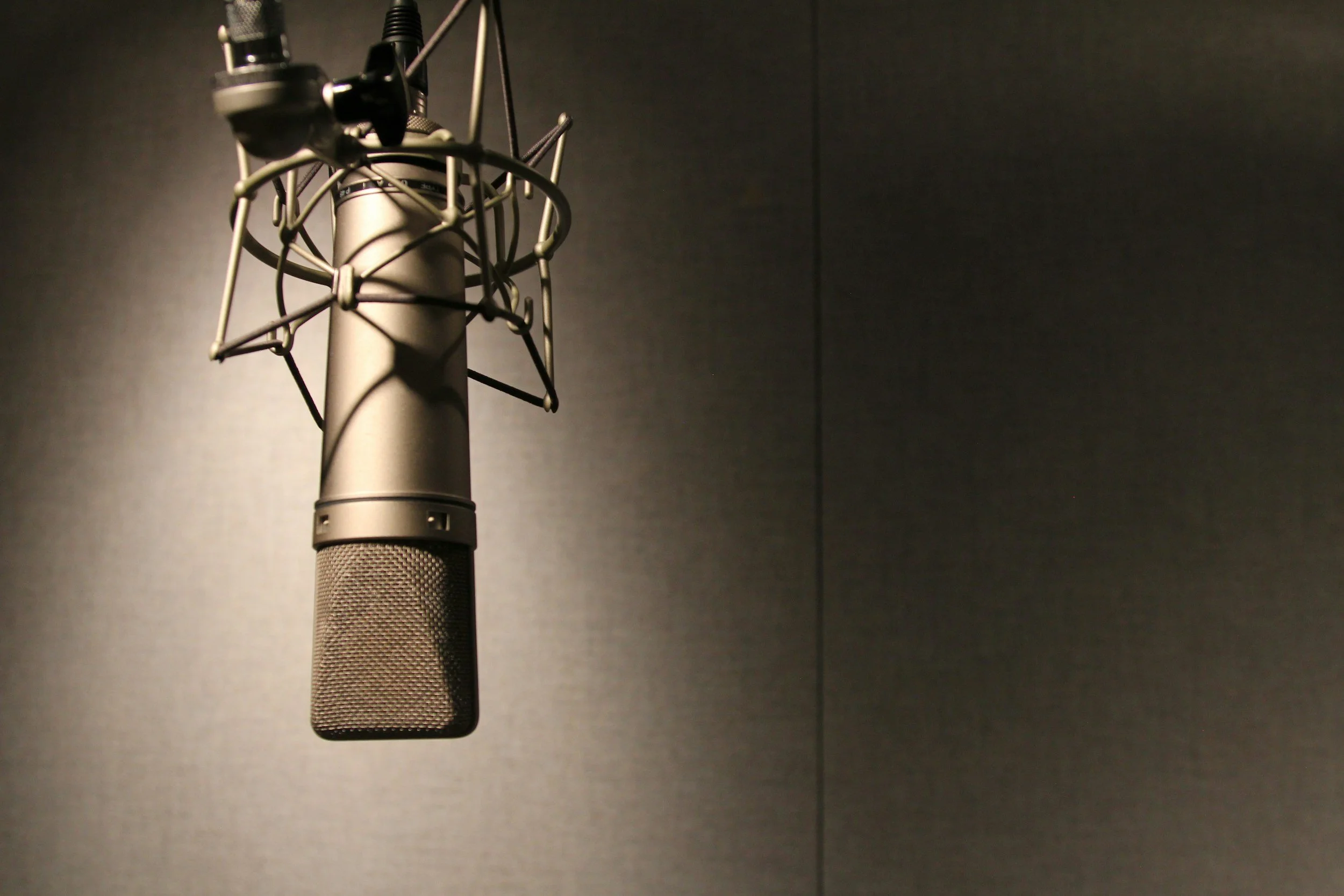 A professional studio microphone mounted in a shock mount, hanging in front of a soundproof wall.