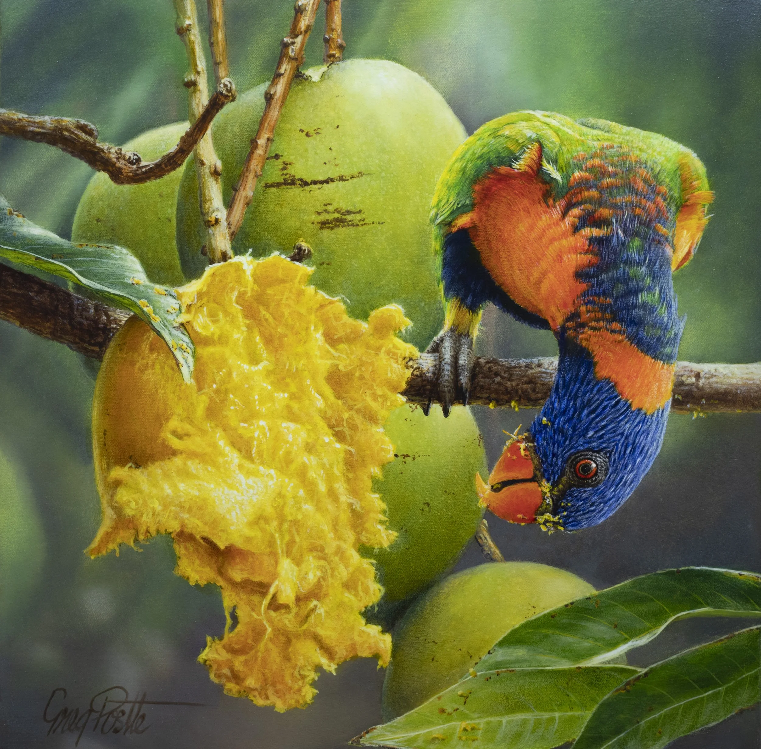Mango Madness - Greg Postle print