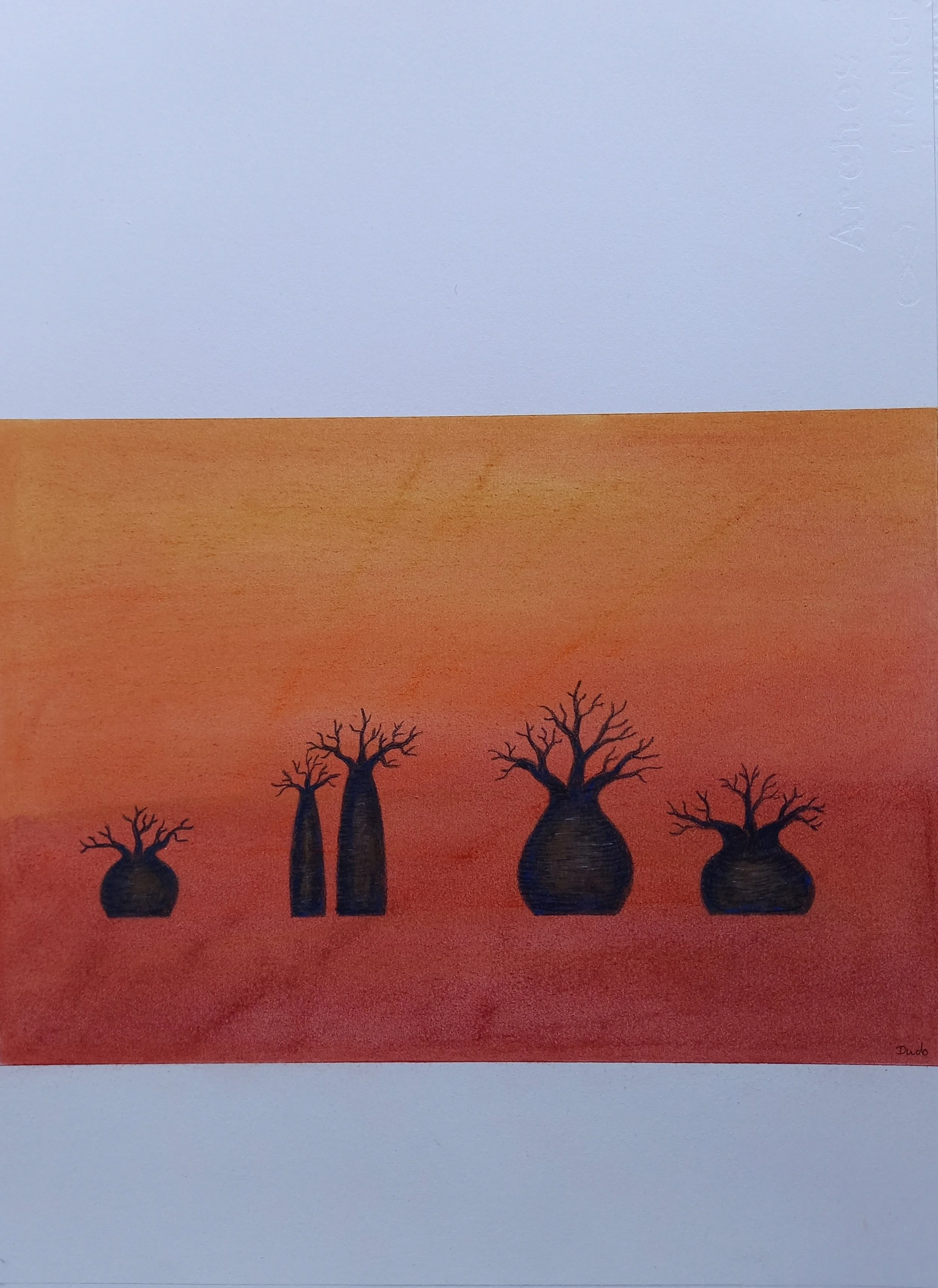 Boabs in the Dust - Evi Fleischmann