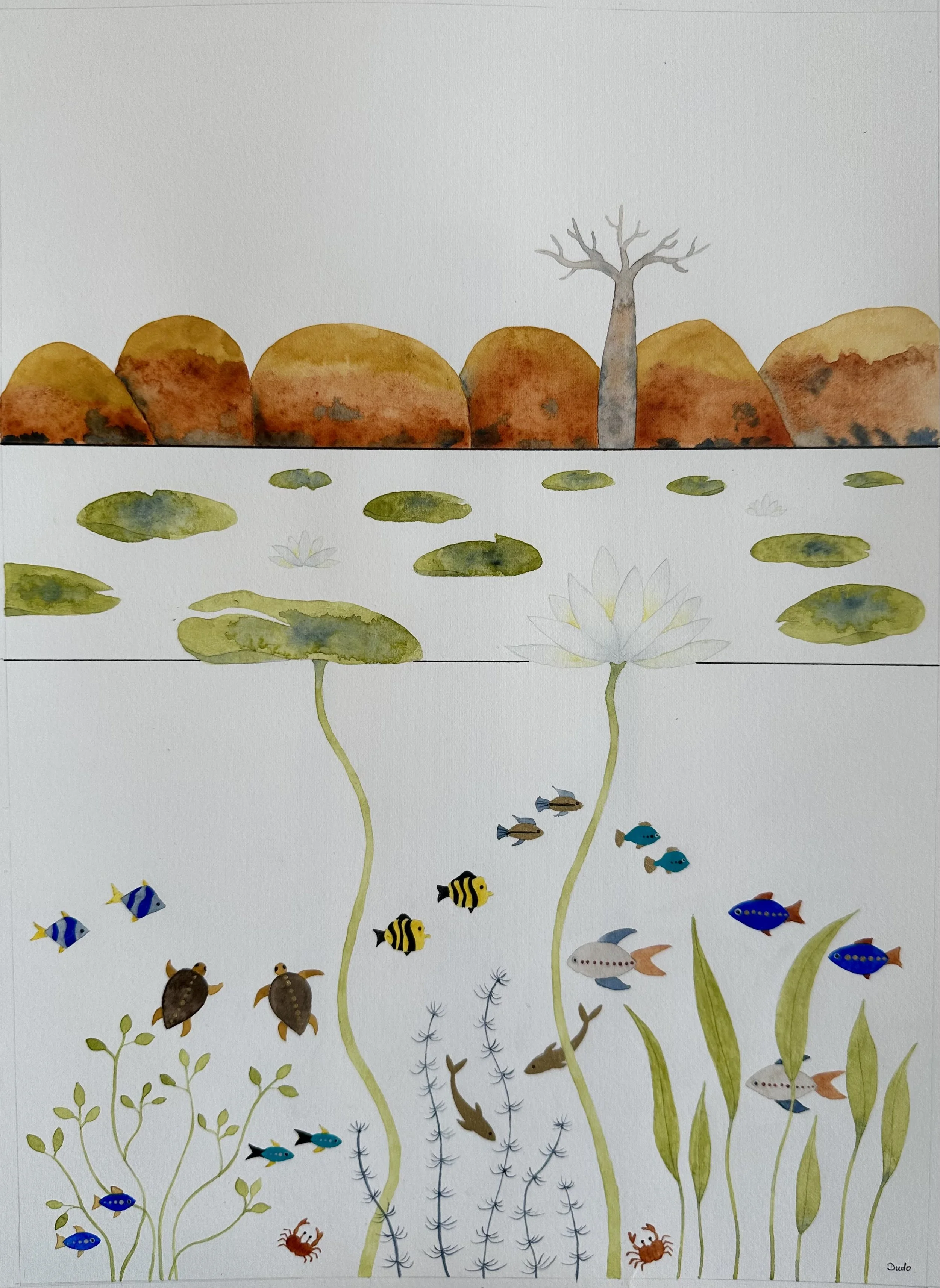 Insight: Lily Creek Lagoon - Evi Fleischmann