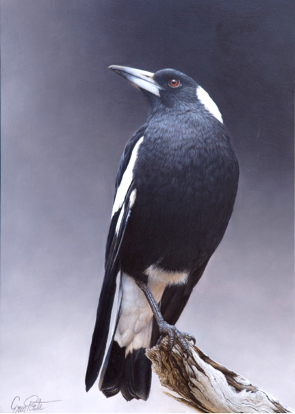 Poised - Greg Postle print