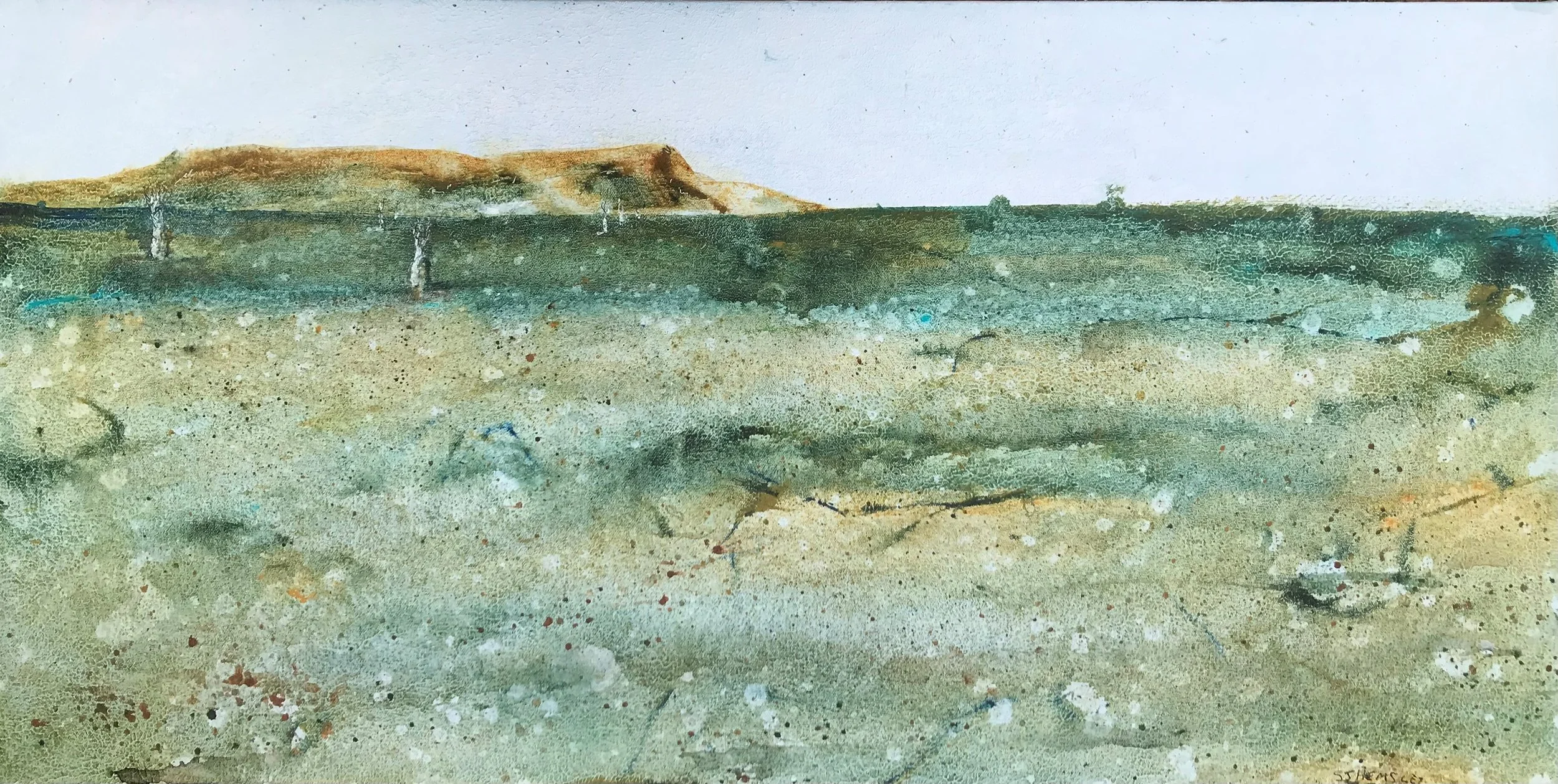 Wyndham Flood Plain - Simon Hemsley