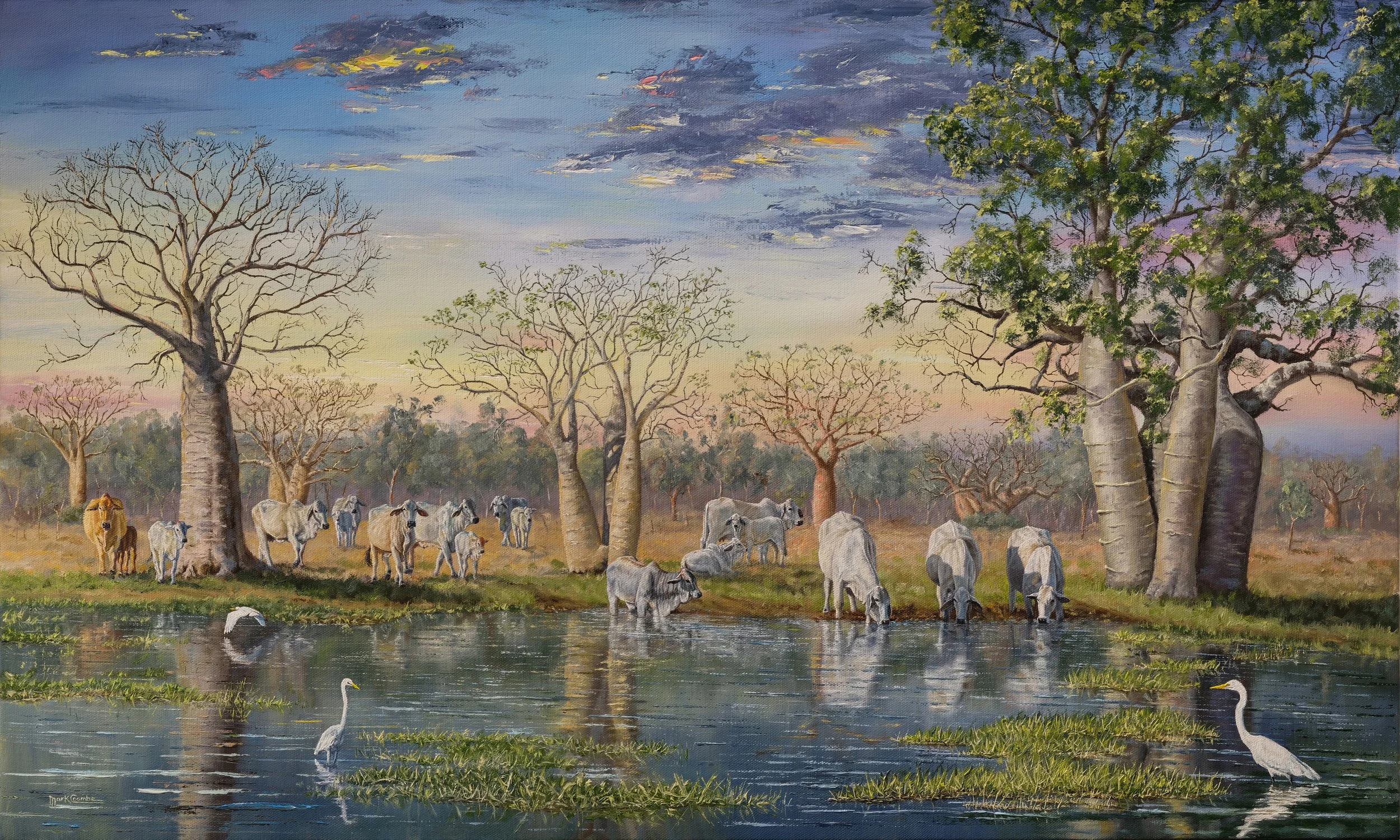 Kimberley Waterhole - Mark Coombe