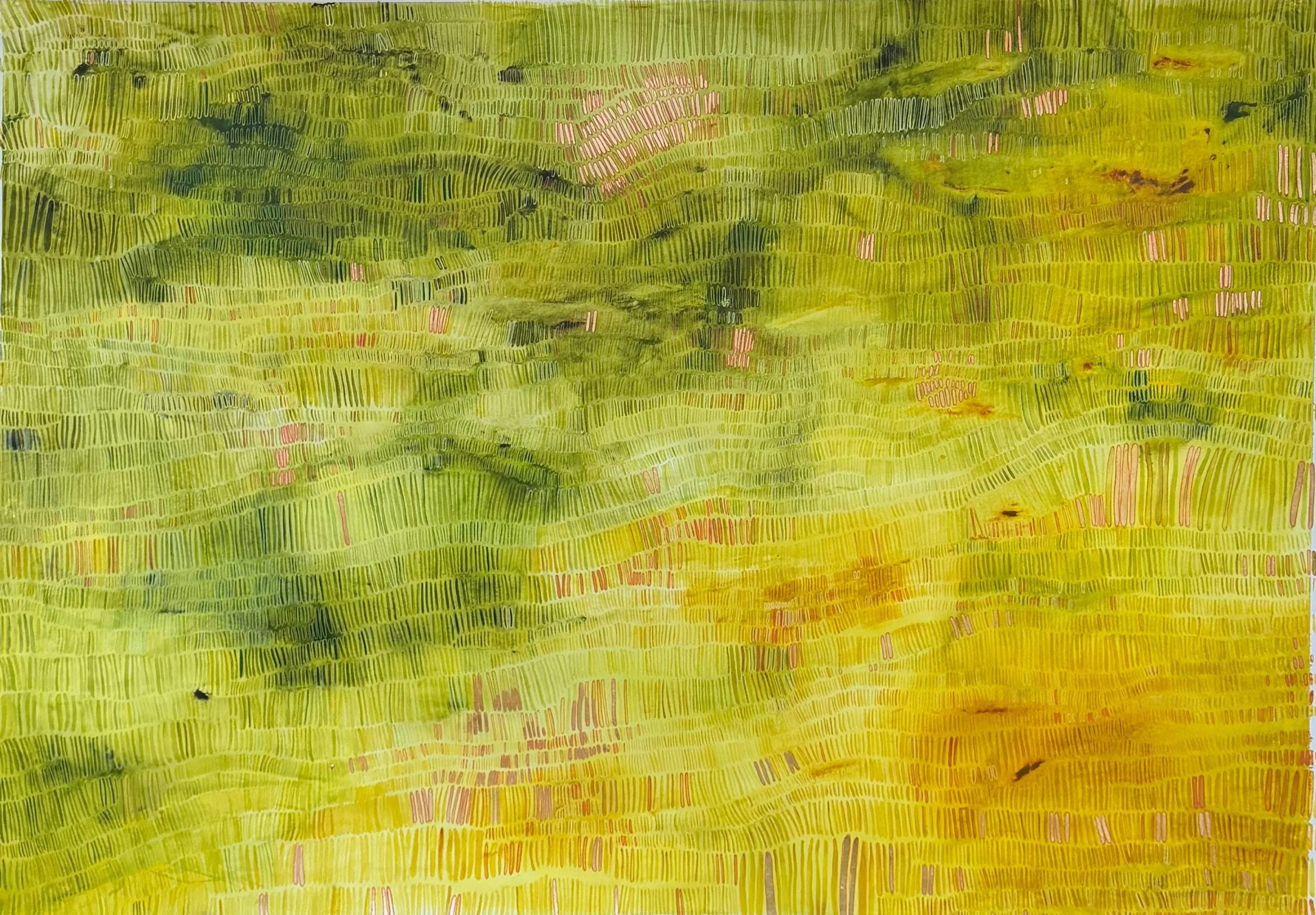 Among the Trees - Georgie Dunn