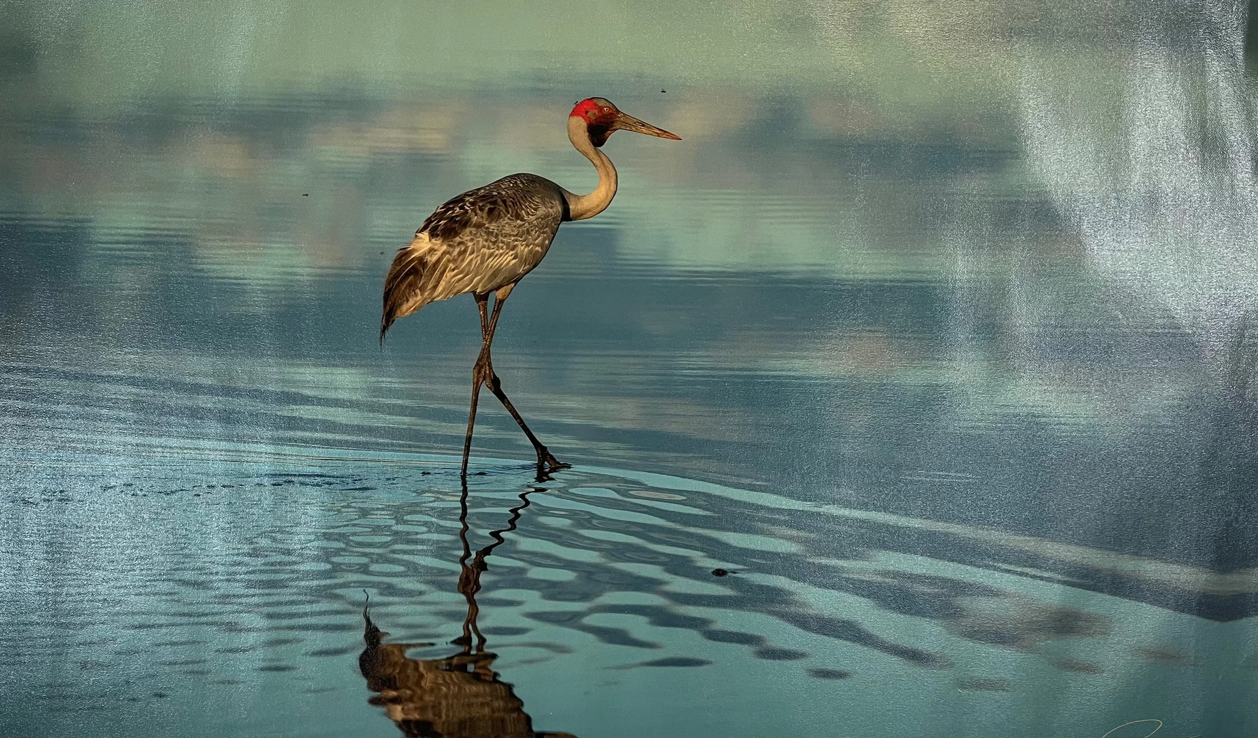 Fly Fishing - Greg Postle print