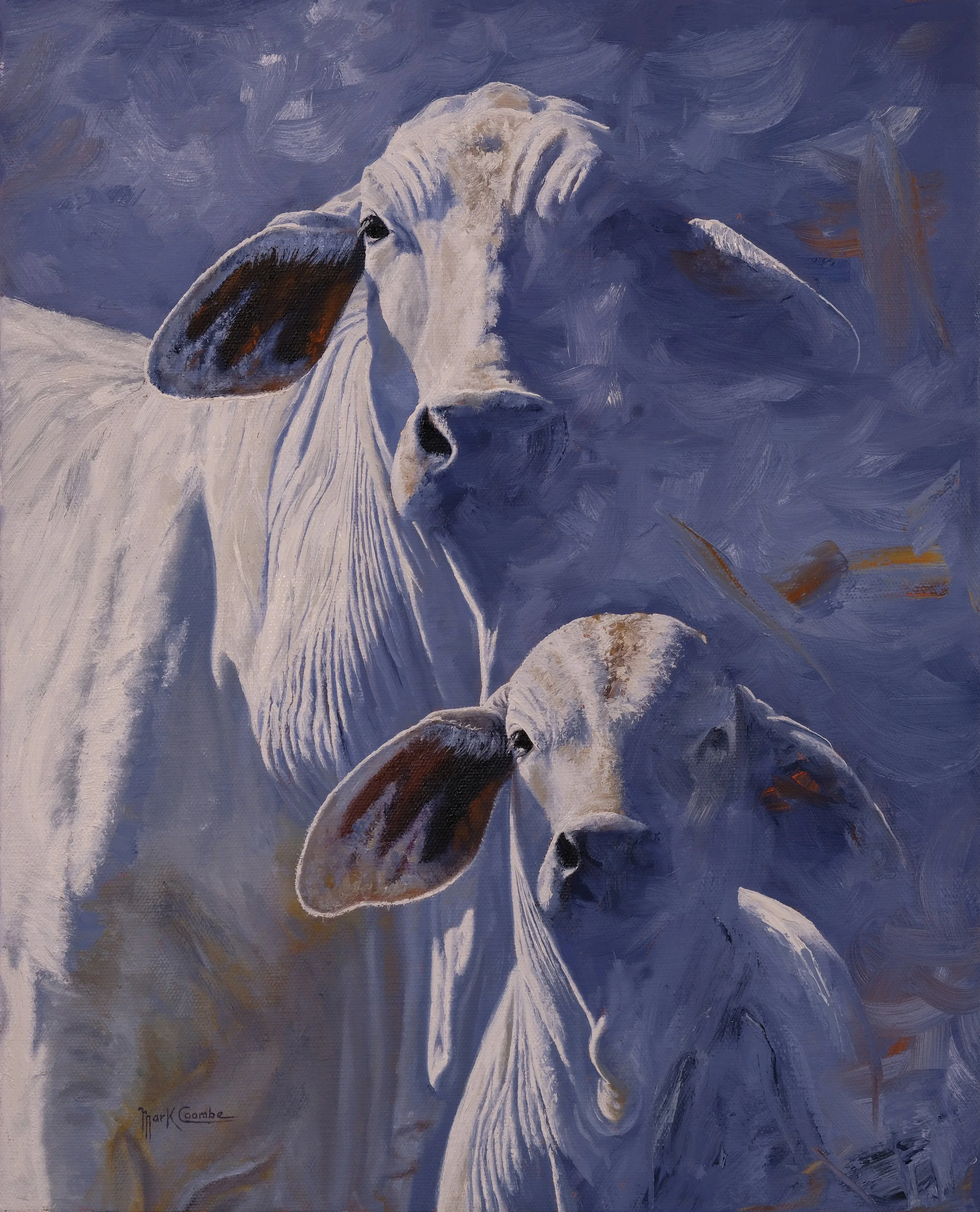 Brahman Shadows - Mark Coombe