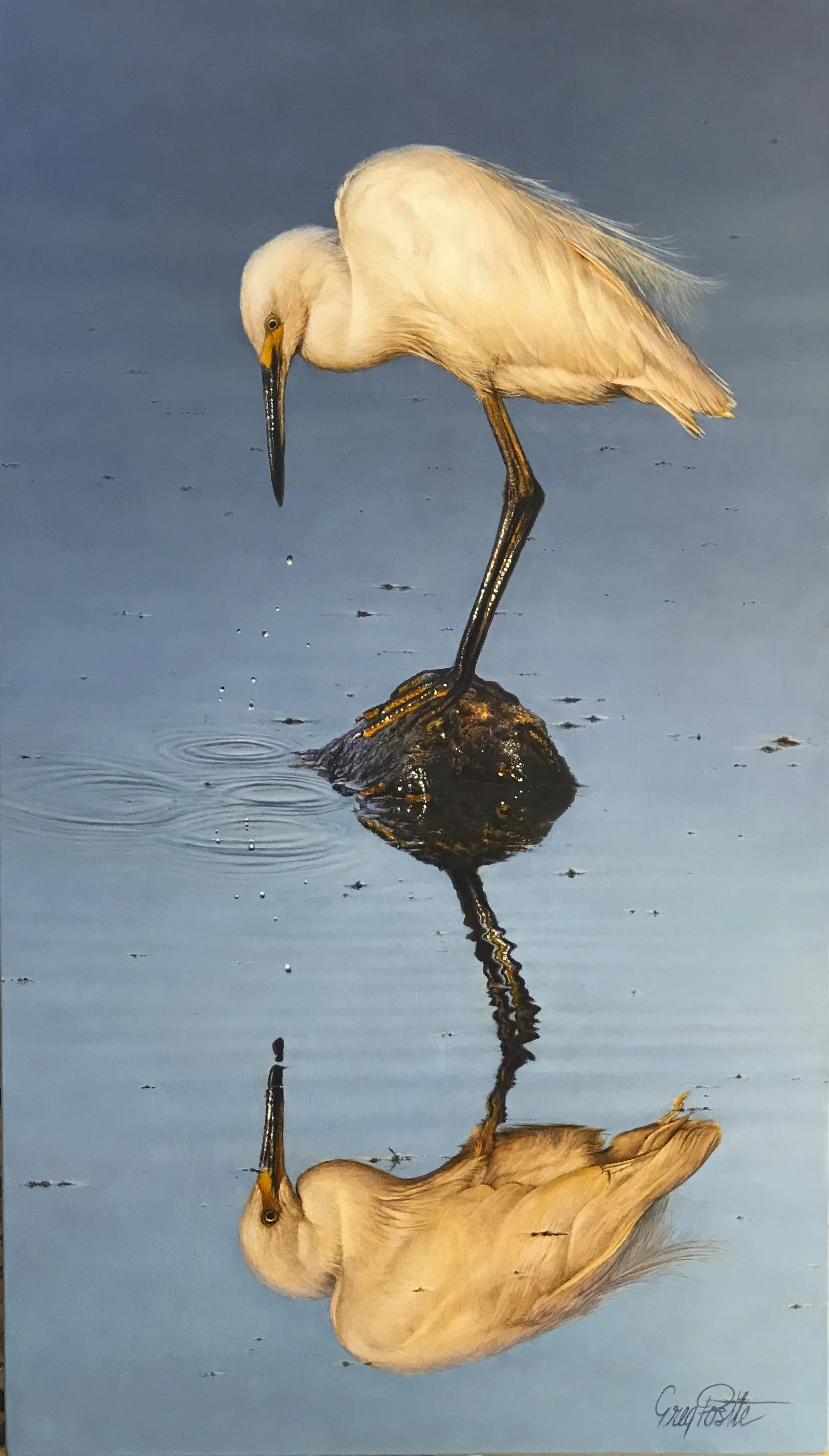 Reflect - Greg Postle