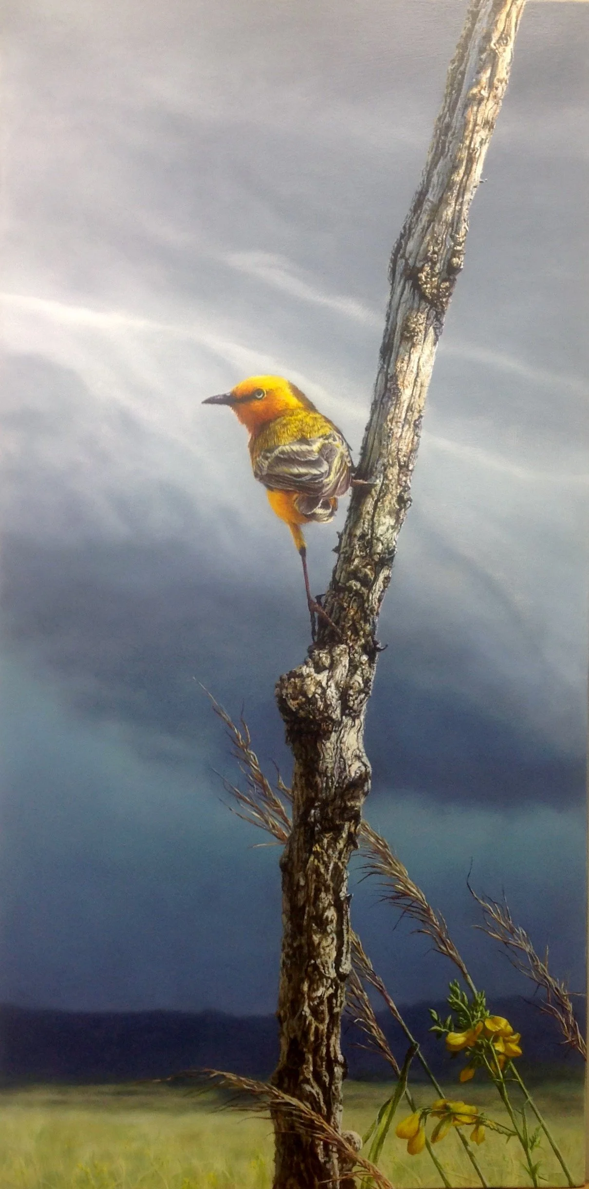 Yellow Magic - Greg Postle print