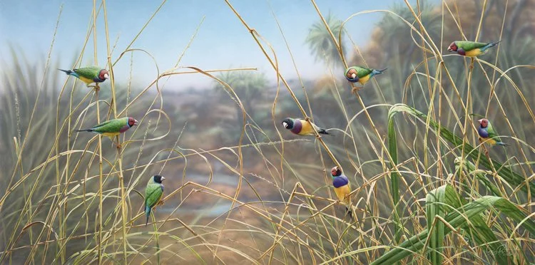 Grasslands.jpg