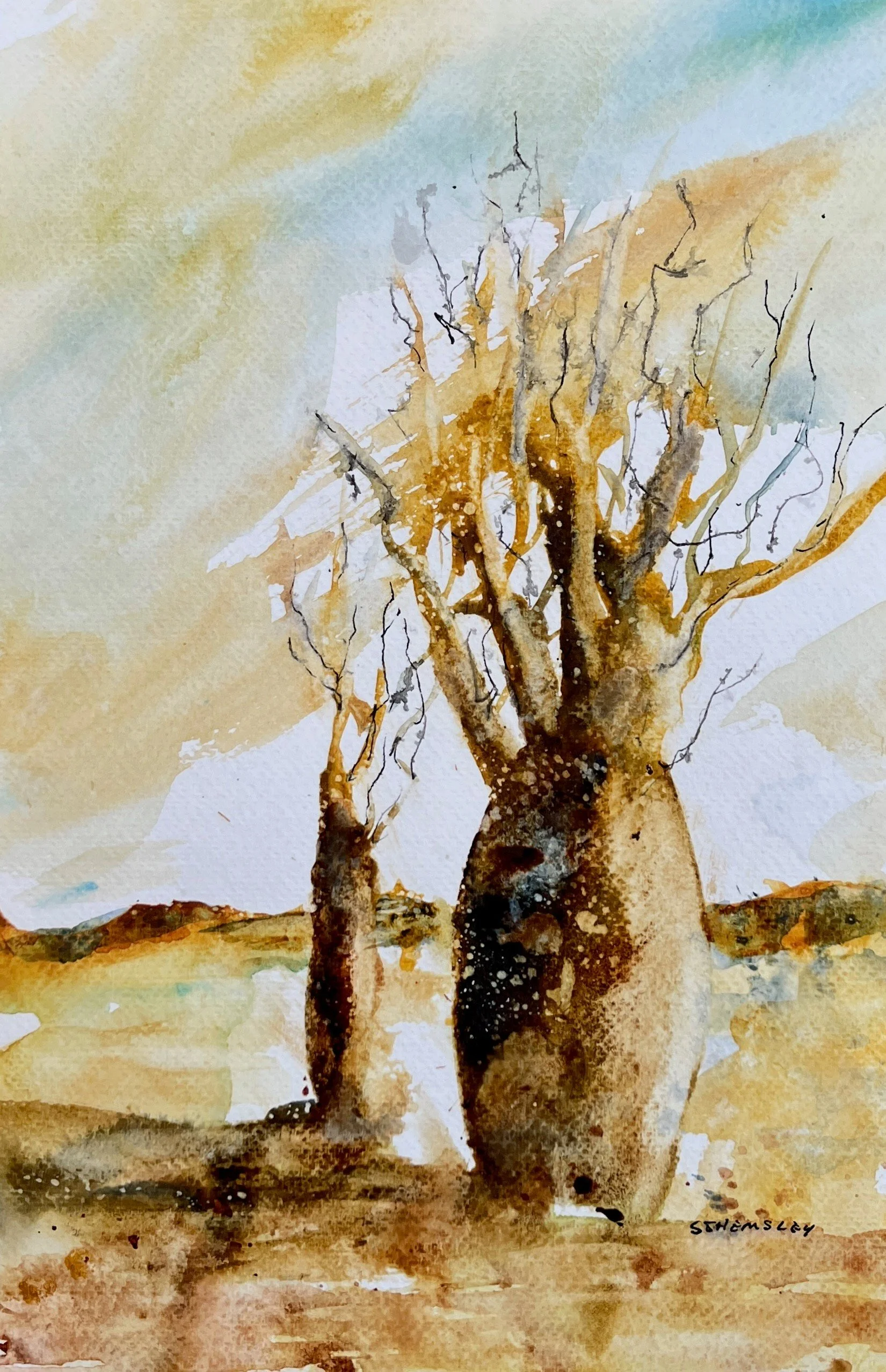 Kimberley Boabs - Simon Hemsley