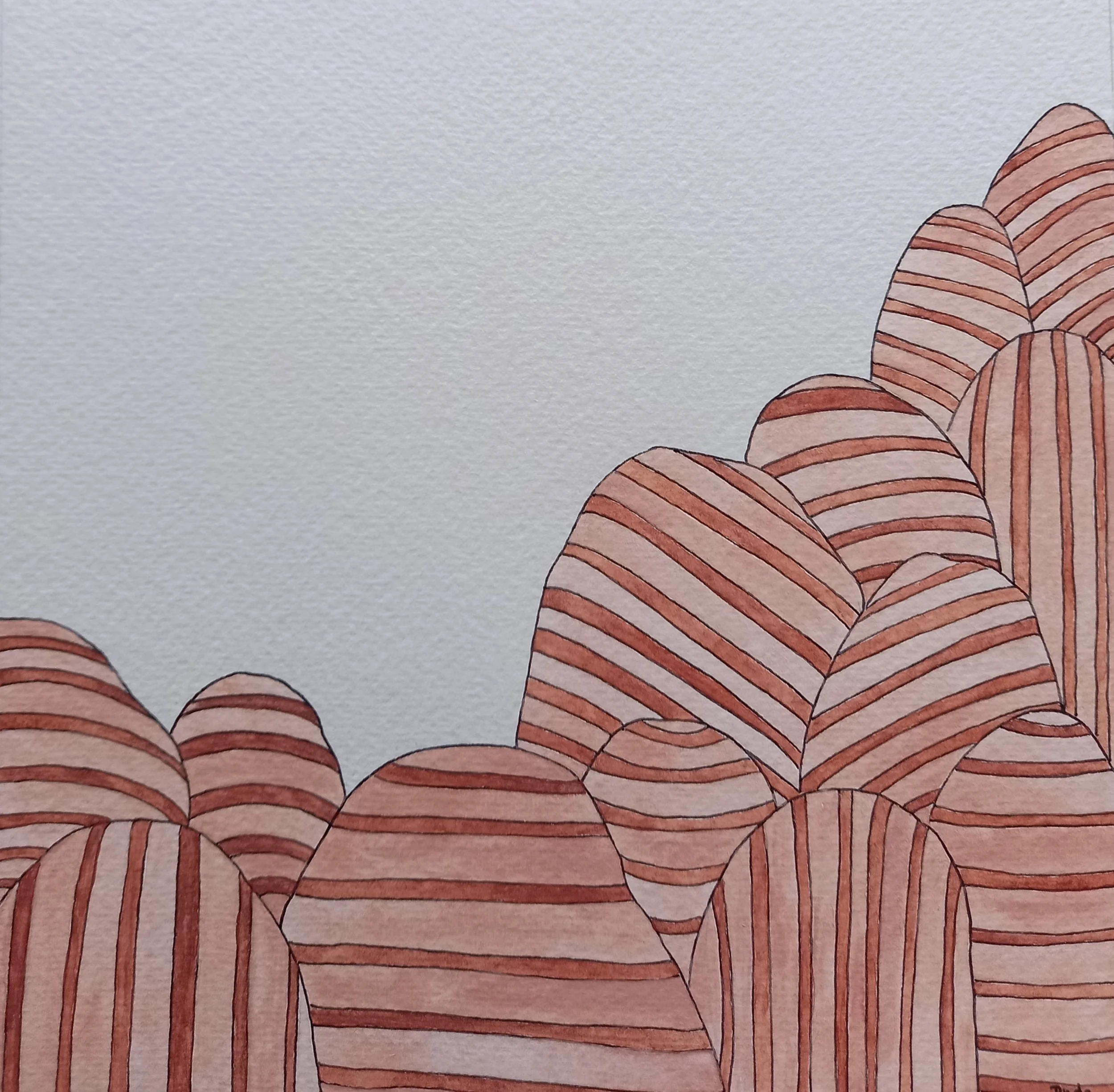 Zebra Rock - Evi Fleischmann