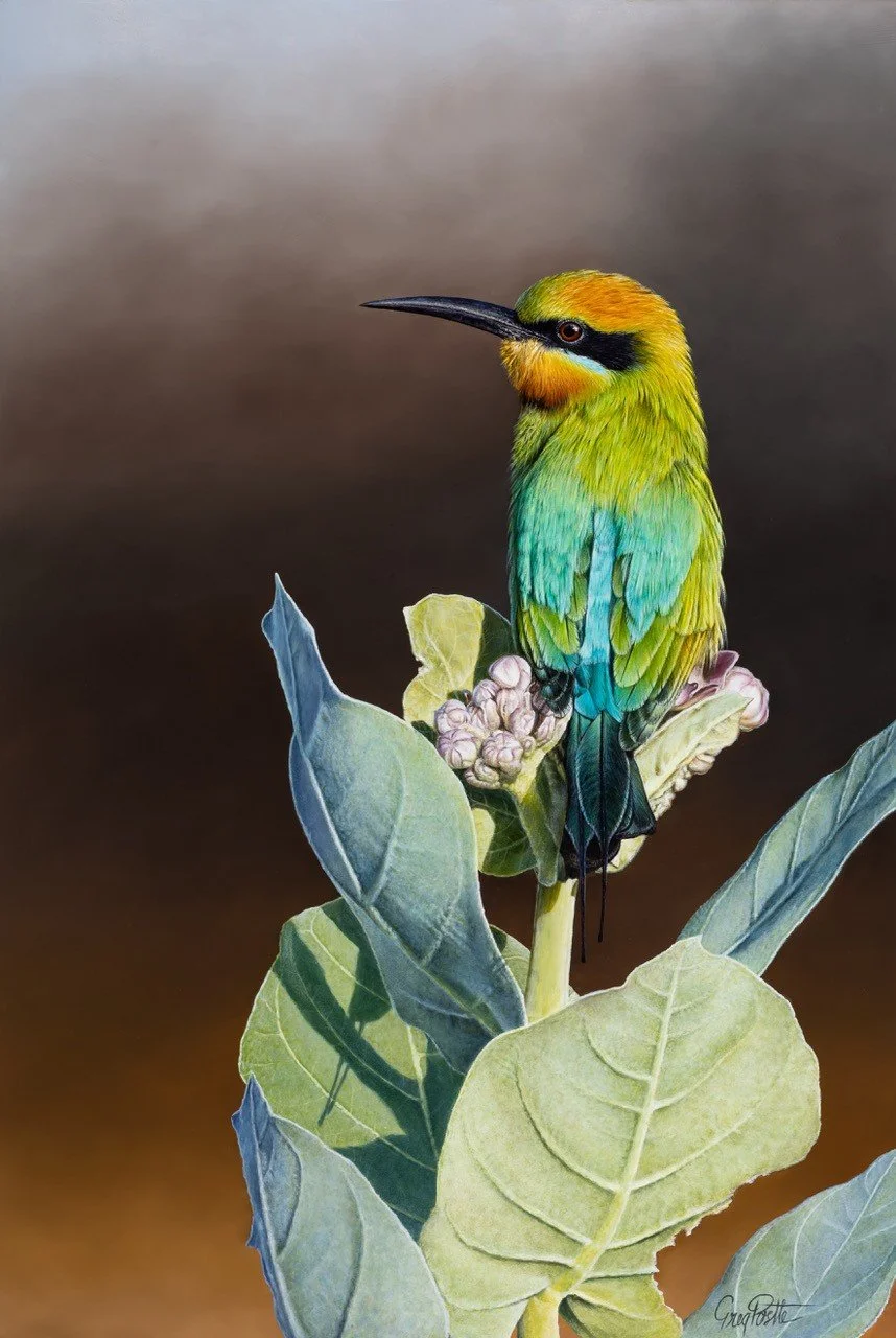 Rainbow King - Greg Postle print