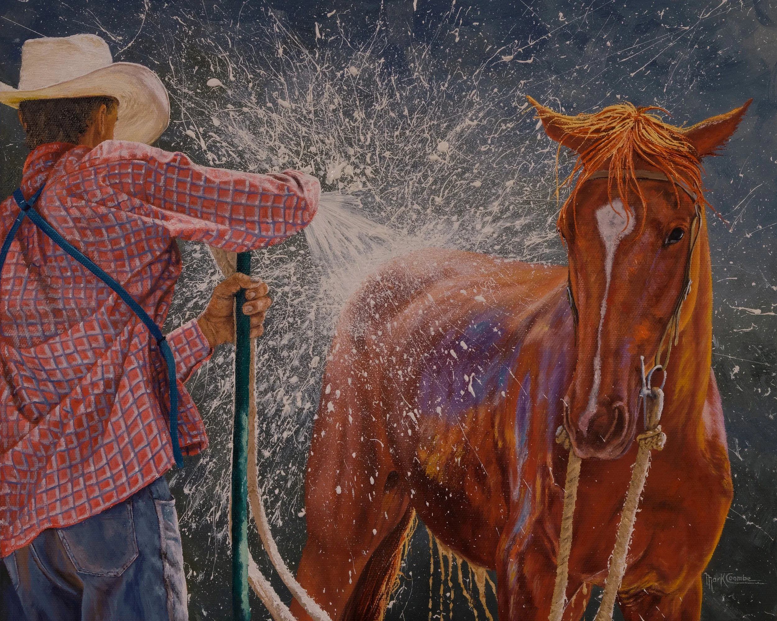 Wash Down - Mark Coombe
