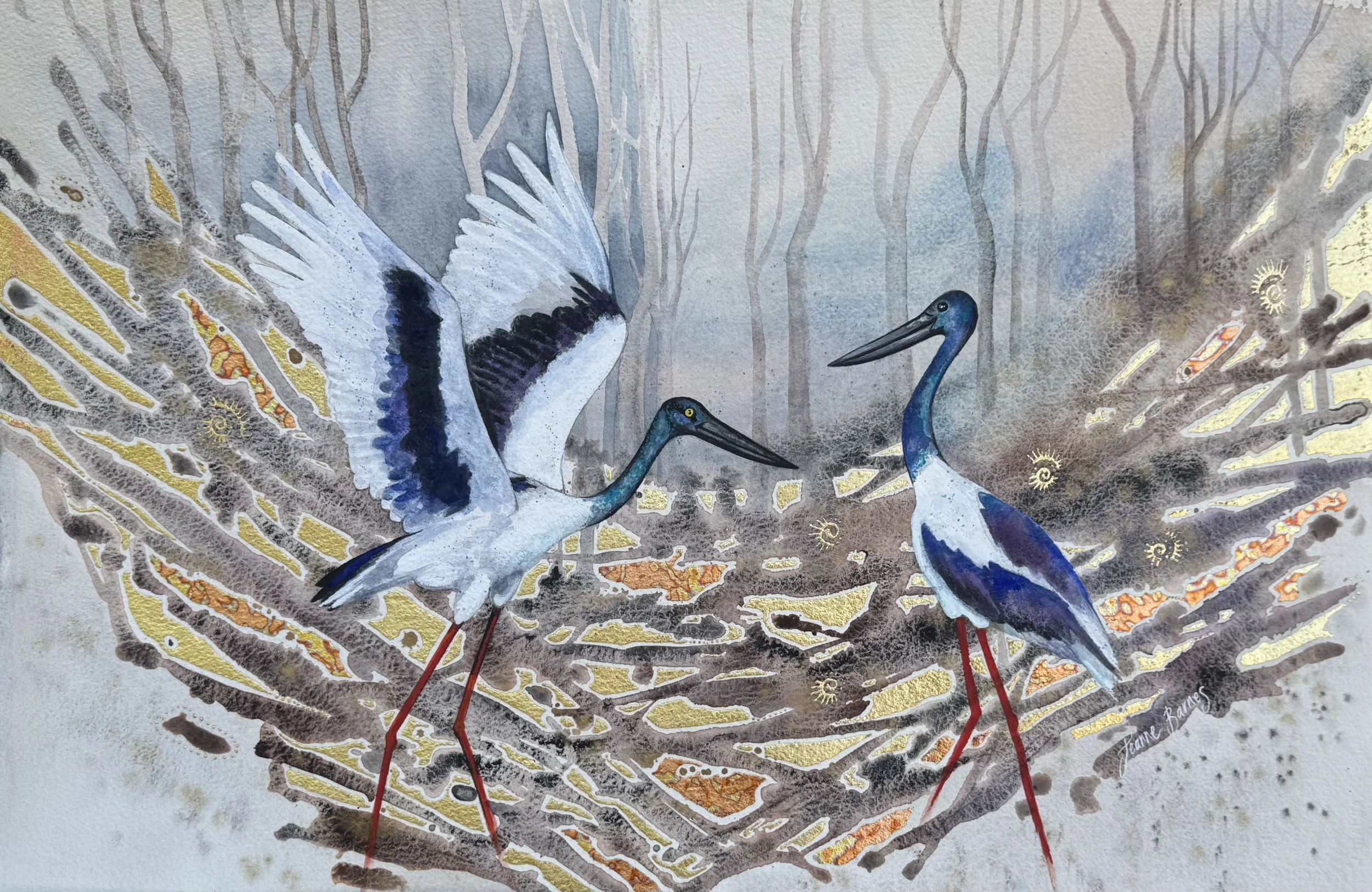 Jabiru Ballet 26049 38x57cm wc ml paper $1950 unfr.jpg
