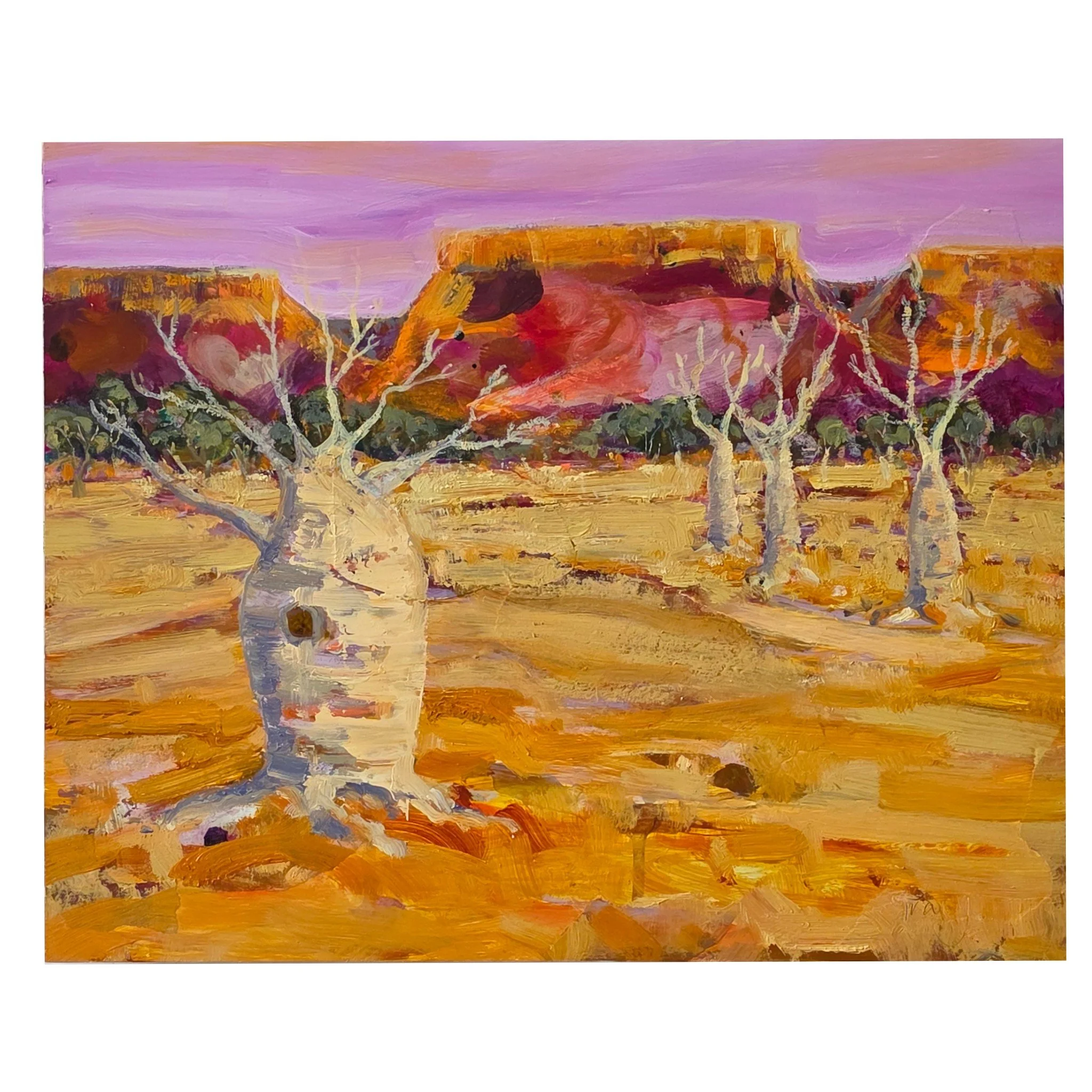 The Gift of Her Gaze - Tracy Waite