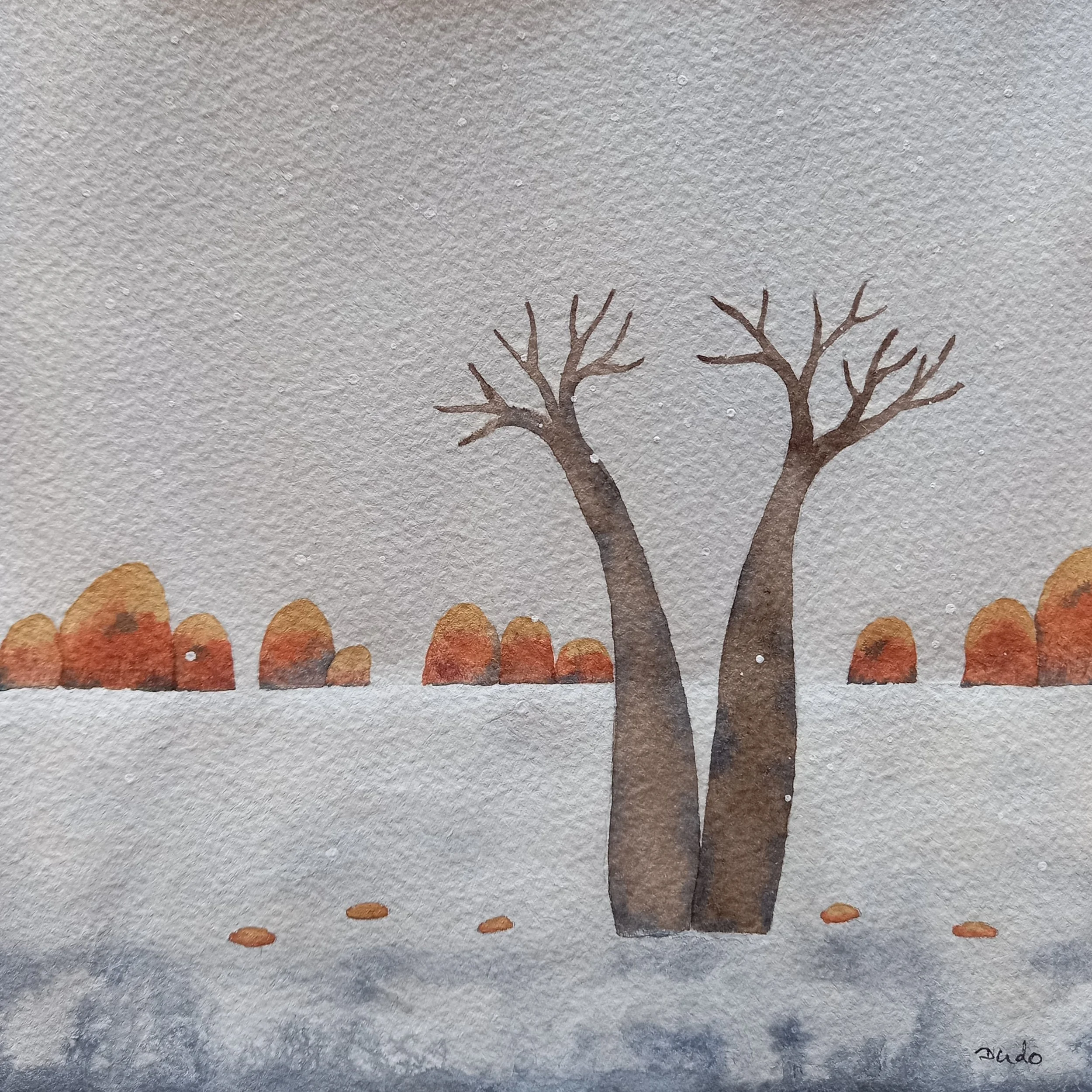 It is Snowing in the Kimberley - Evi Fleischmann