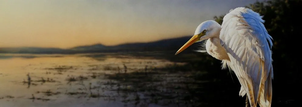 Sunlander - Greg Postle print