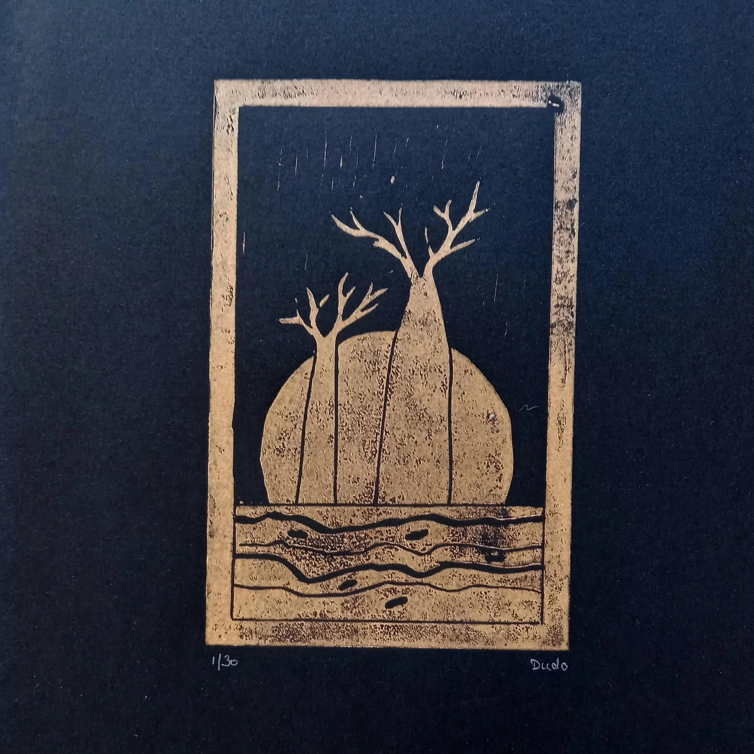 Two Boabs - Evi Fleischmann