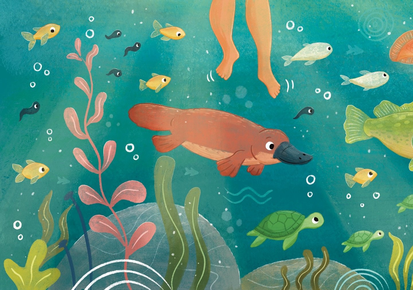 Scroll >> for the rest of this long illustration based on South East Queensland&rsquo;s rivers and its endangered species! 🐠 🚤 
.
.
.
#mural #queensland #river #conservation #illustration 
@brightagencypublishing @nickylander