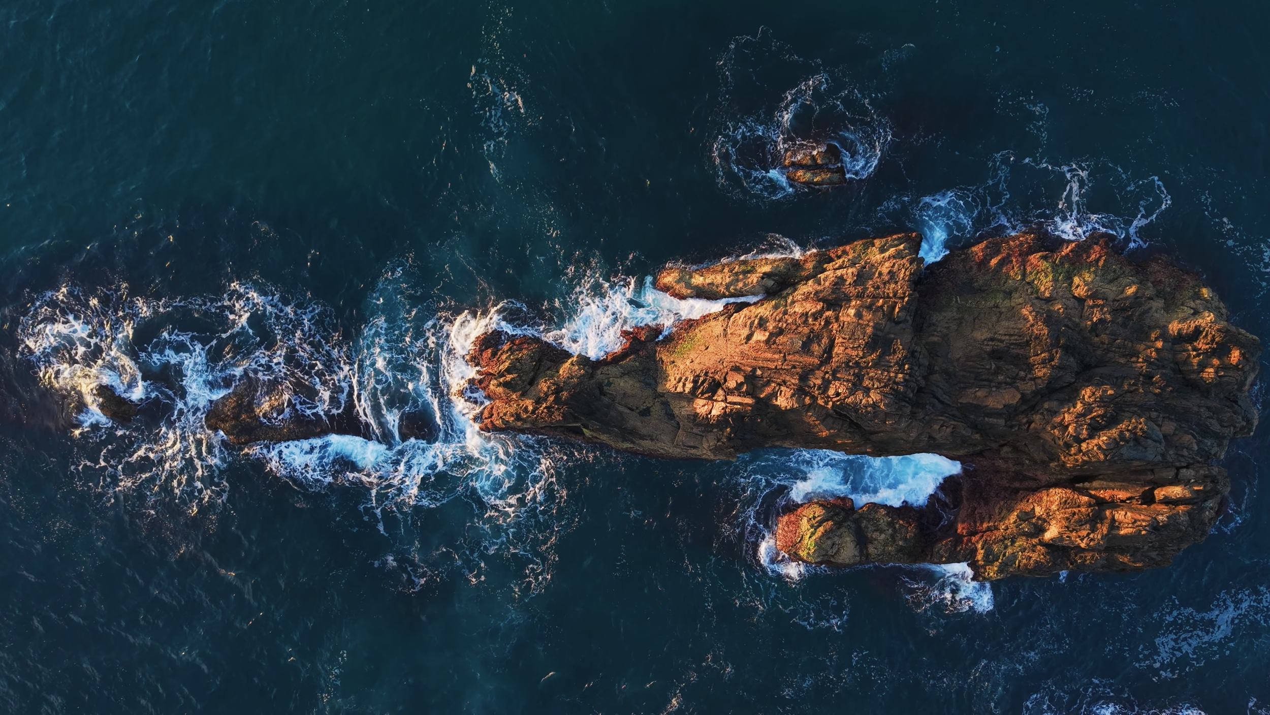 Screenshot 2026-02-09 at 2.56.39 pm.png