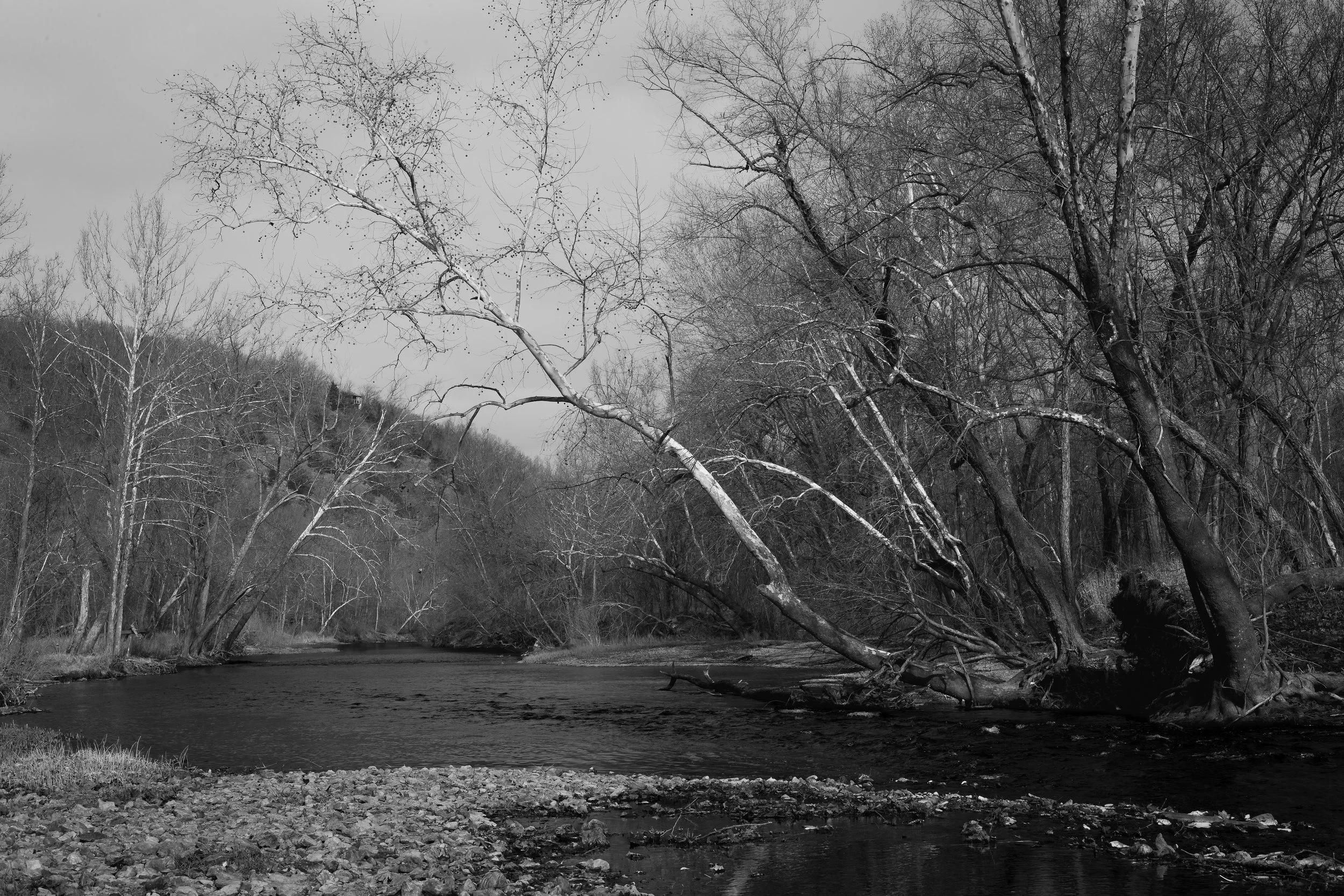 A black and white photo of a river with leafless trees along the banks, some of which are leaning over the water. A cloudy sky is visible above.