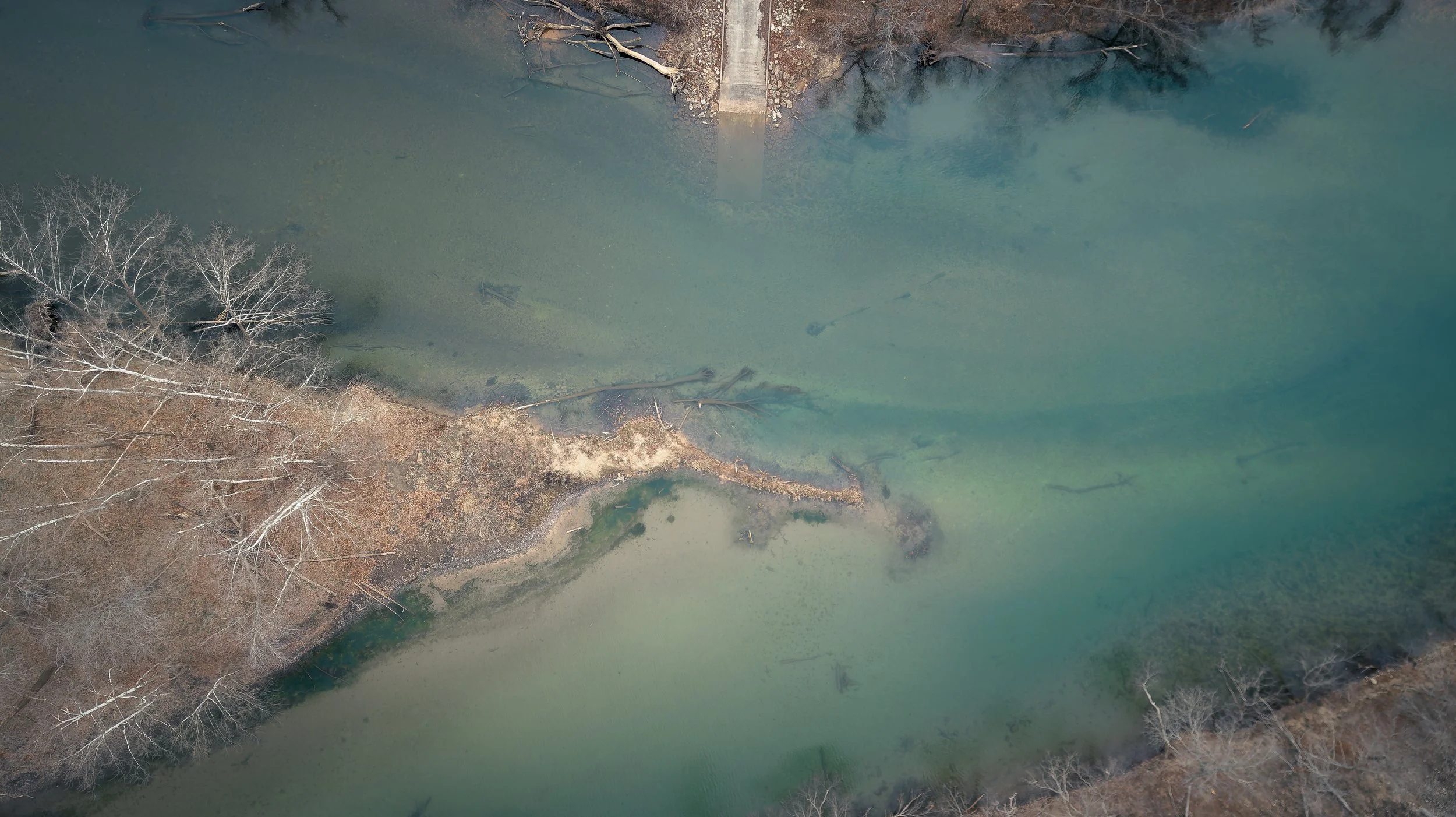 Aerial view of river with fallen trees and leafless trees along its banks, partly frozen or shallow water with some submerged debris