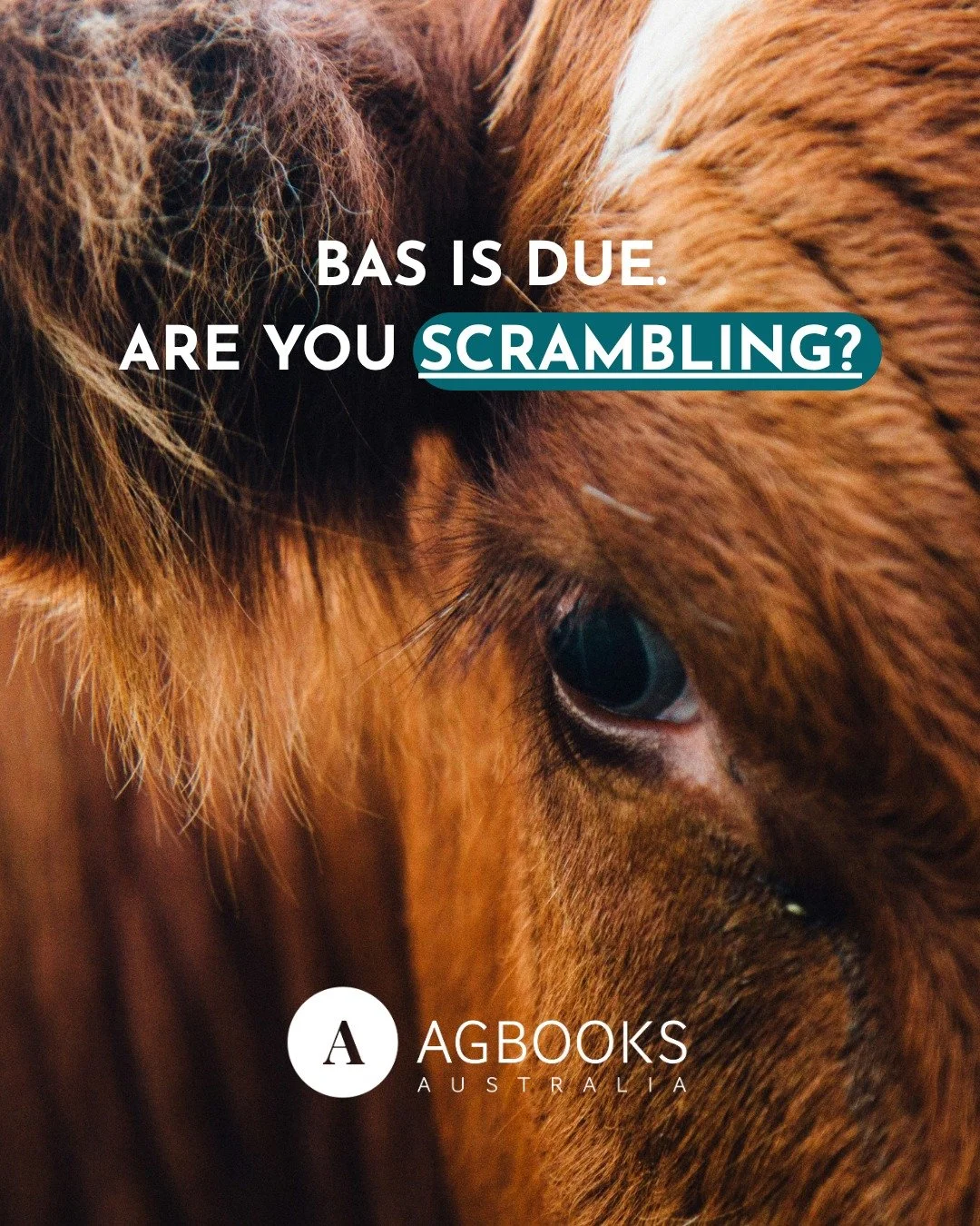 BAS is due this month.

And if you're currently digging through Nutrien invoices, chasing your bookkeeper, or just hoping the numbers are roughly right, you're not alone.

But here's the thing.

That scramble? It's not a once-a-year problem. It's a s