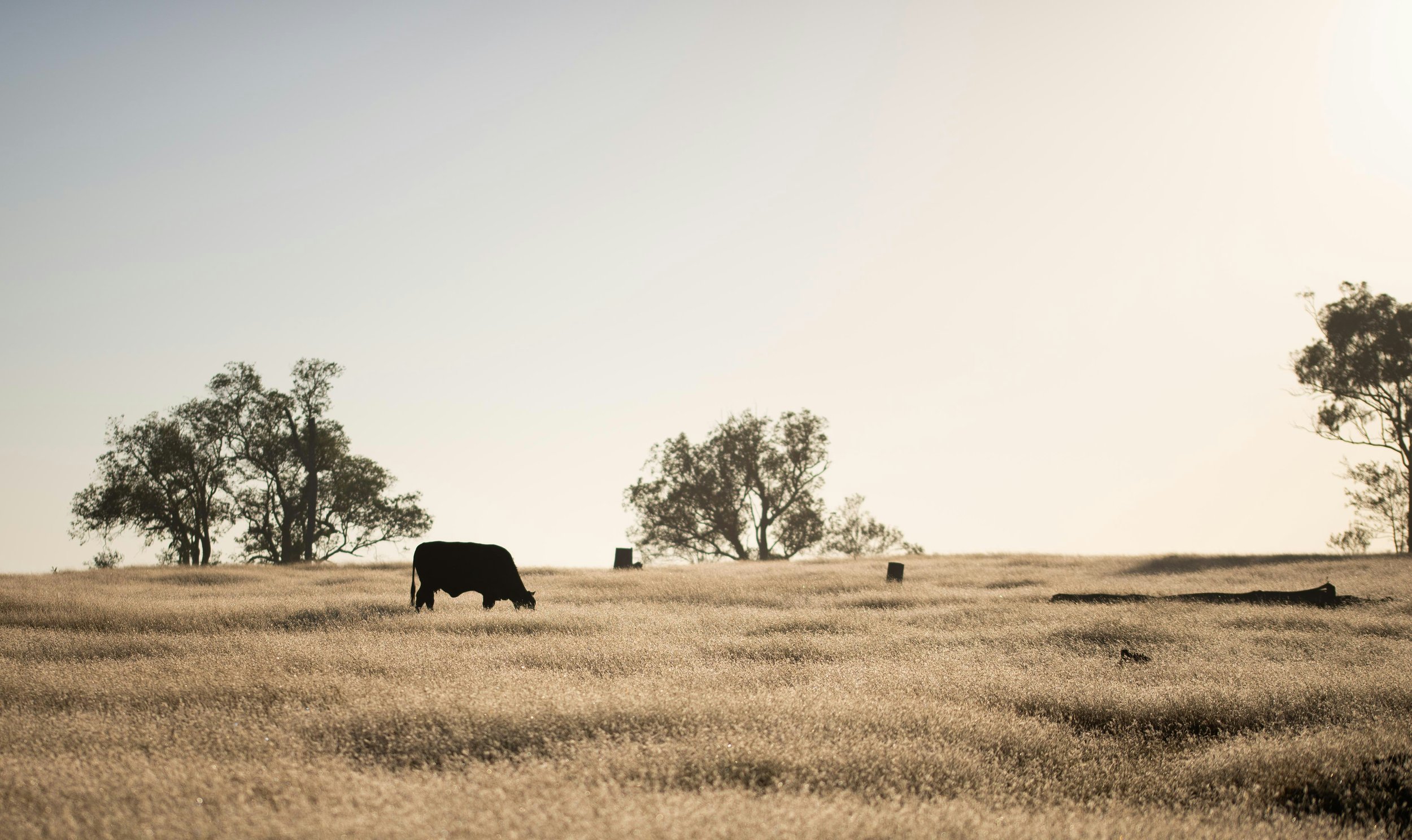 New Financial Year Checklist for Farm Businesses
