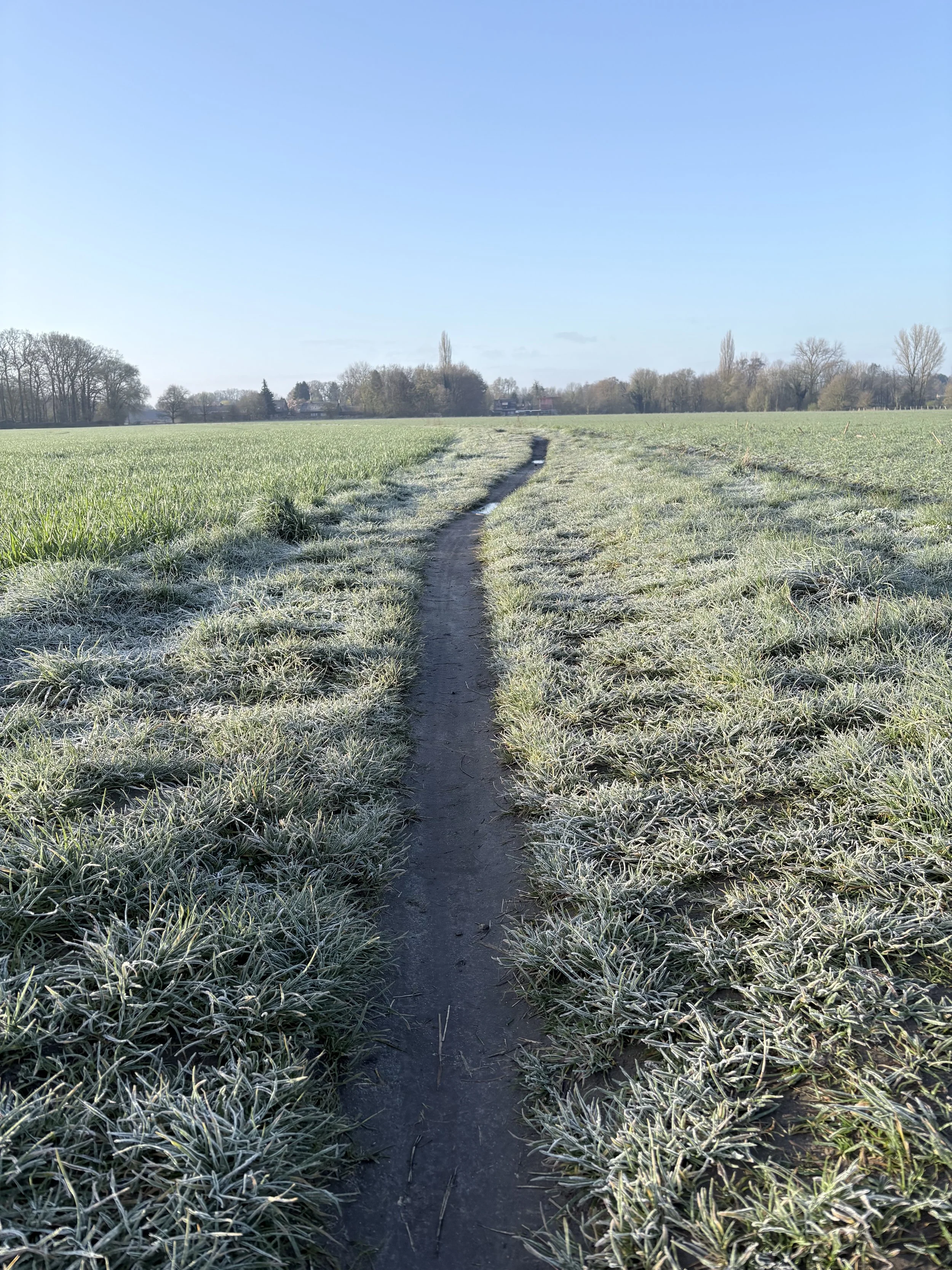 A path running through a frost-covered grassy field with trees and houses in the distance under a clear blue sky.