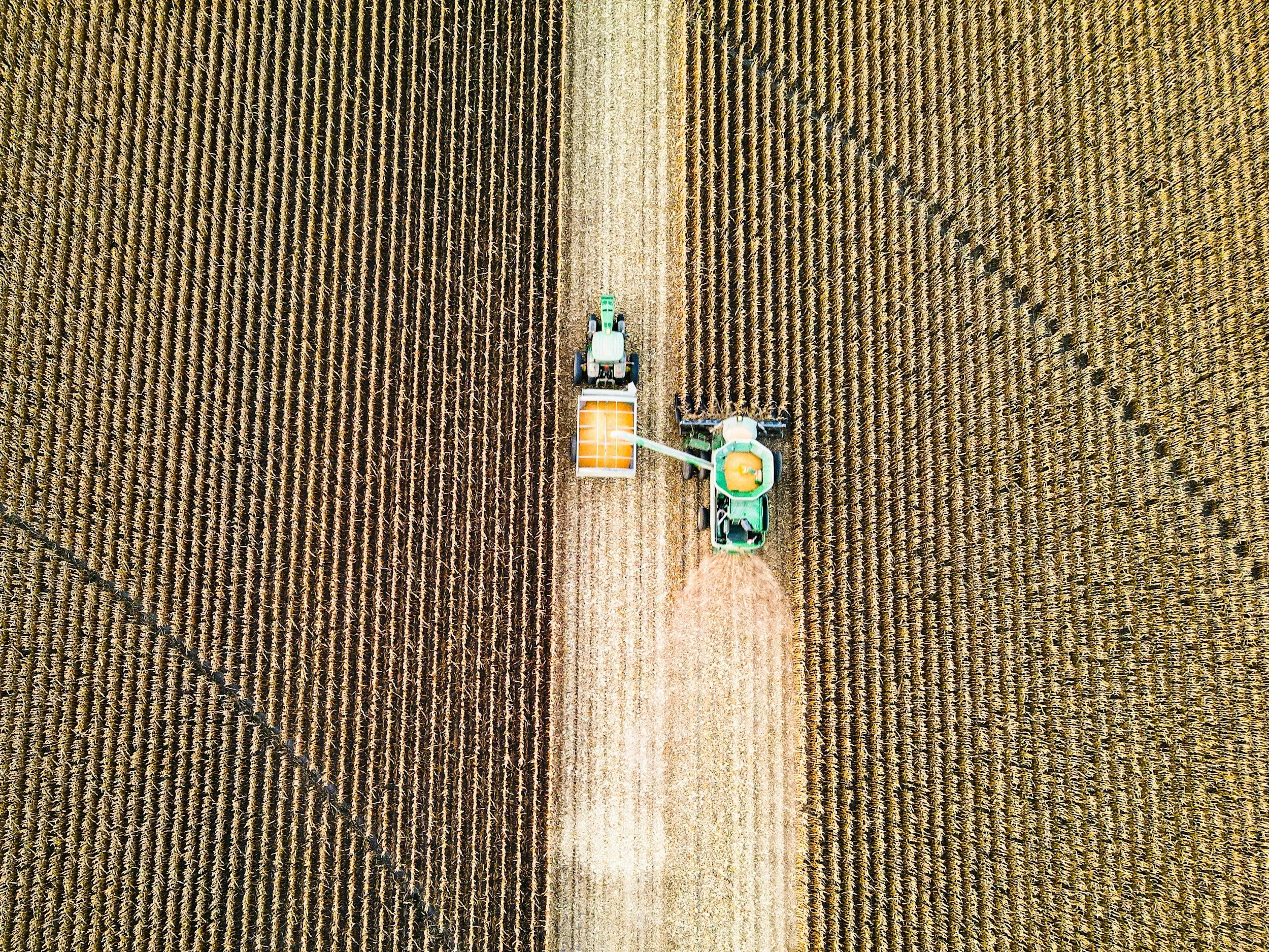 Aerial view of a tractor harvesting a cornfield, with a horizontal path in the middle dividing the field into two sections.