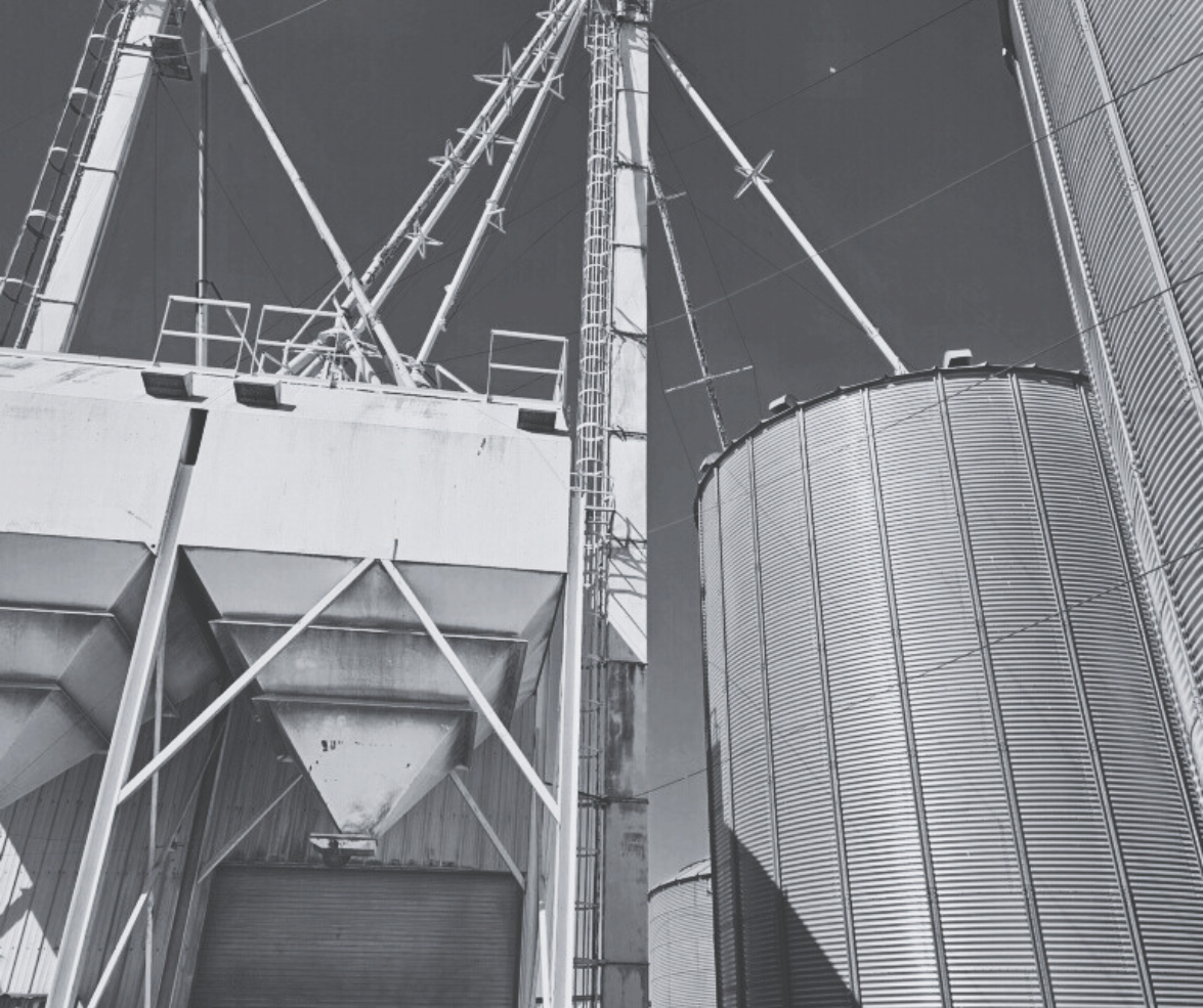 View of large industrial grain silos with metal structures and ladders, under a clear sky.