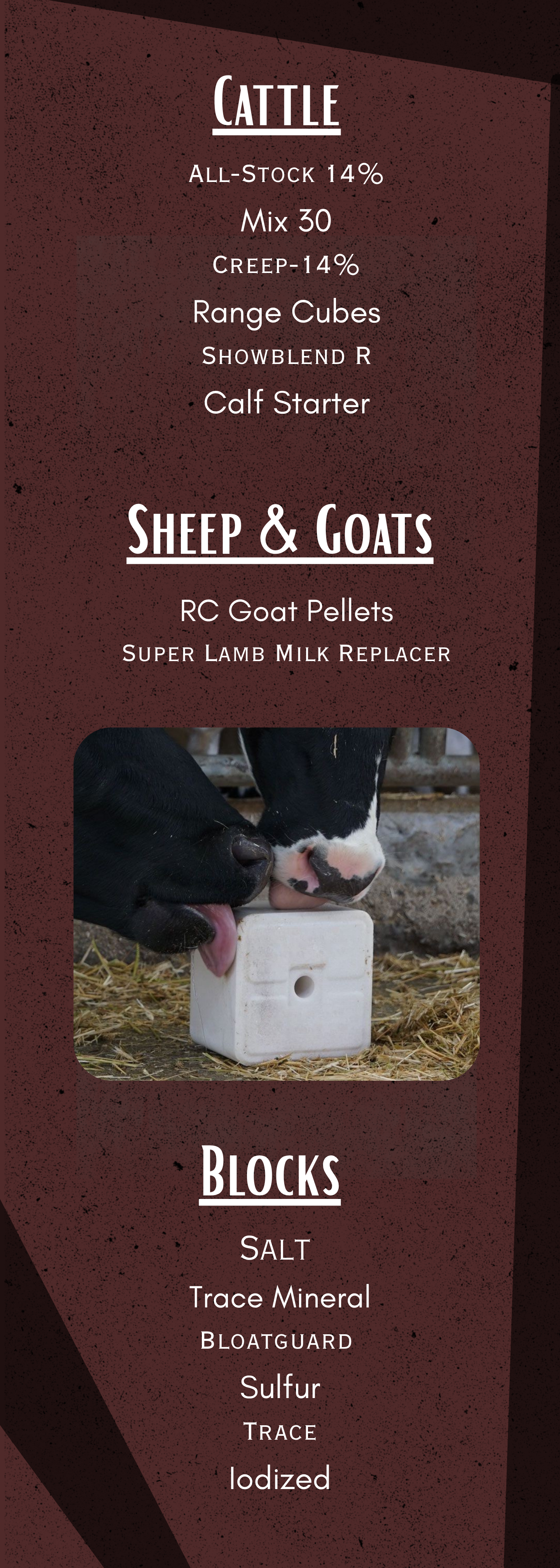 A vertical farm feed ingredient list with sections for cattle, sheep & goats, and blocks, featuring items like All-Stocks, Mix 30, Range Cubes, RC Goat Pellets, and salt, with an image of two calves licking a white block of feed.