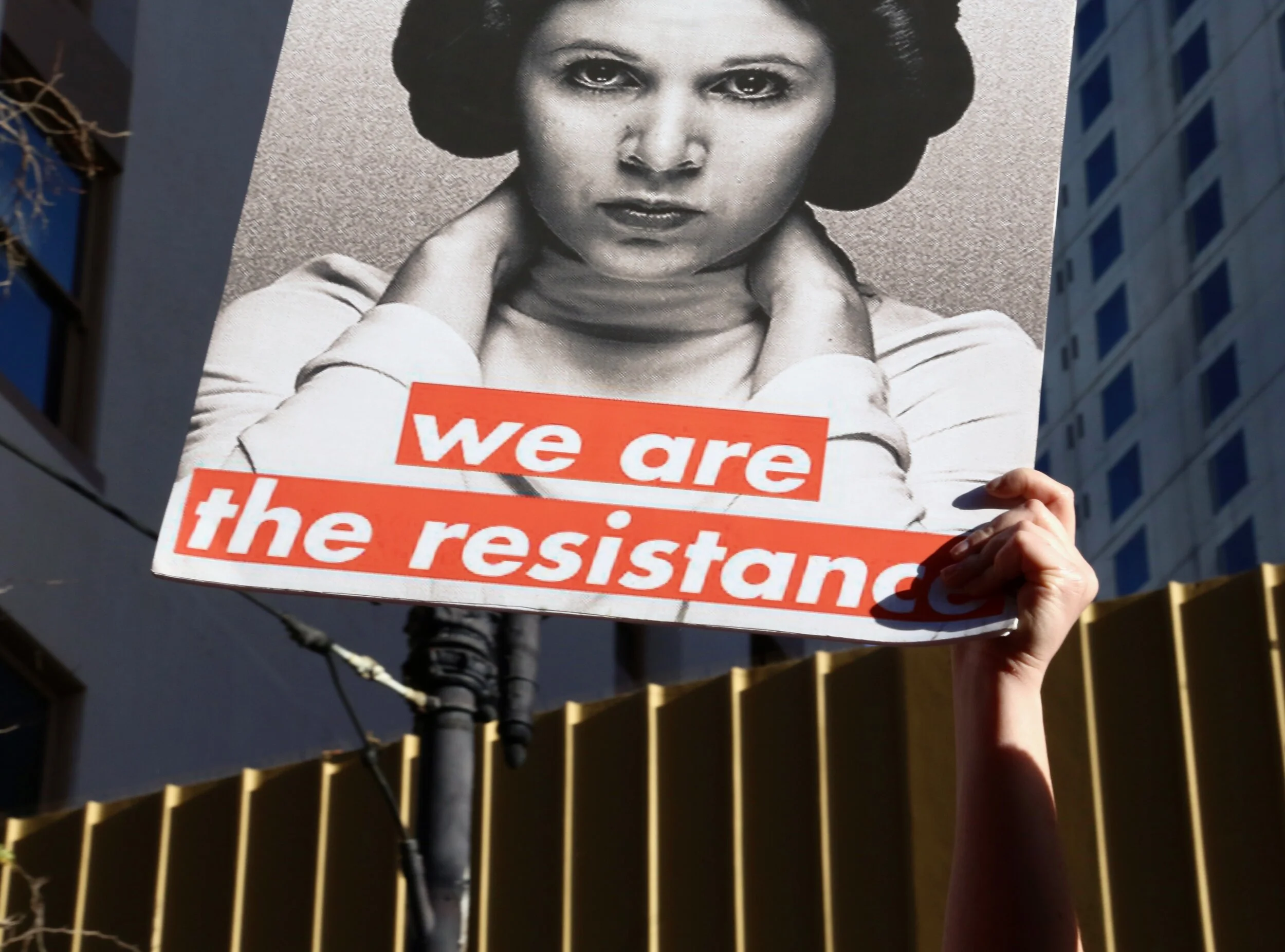 6S2A0652 - Ivy Zip.jpg