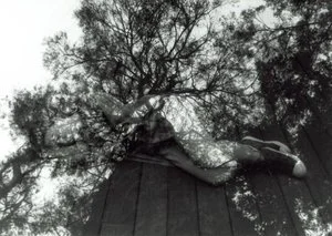 Upcoming Events  (Copy)