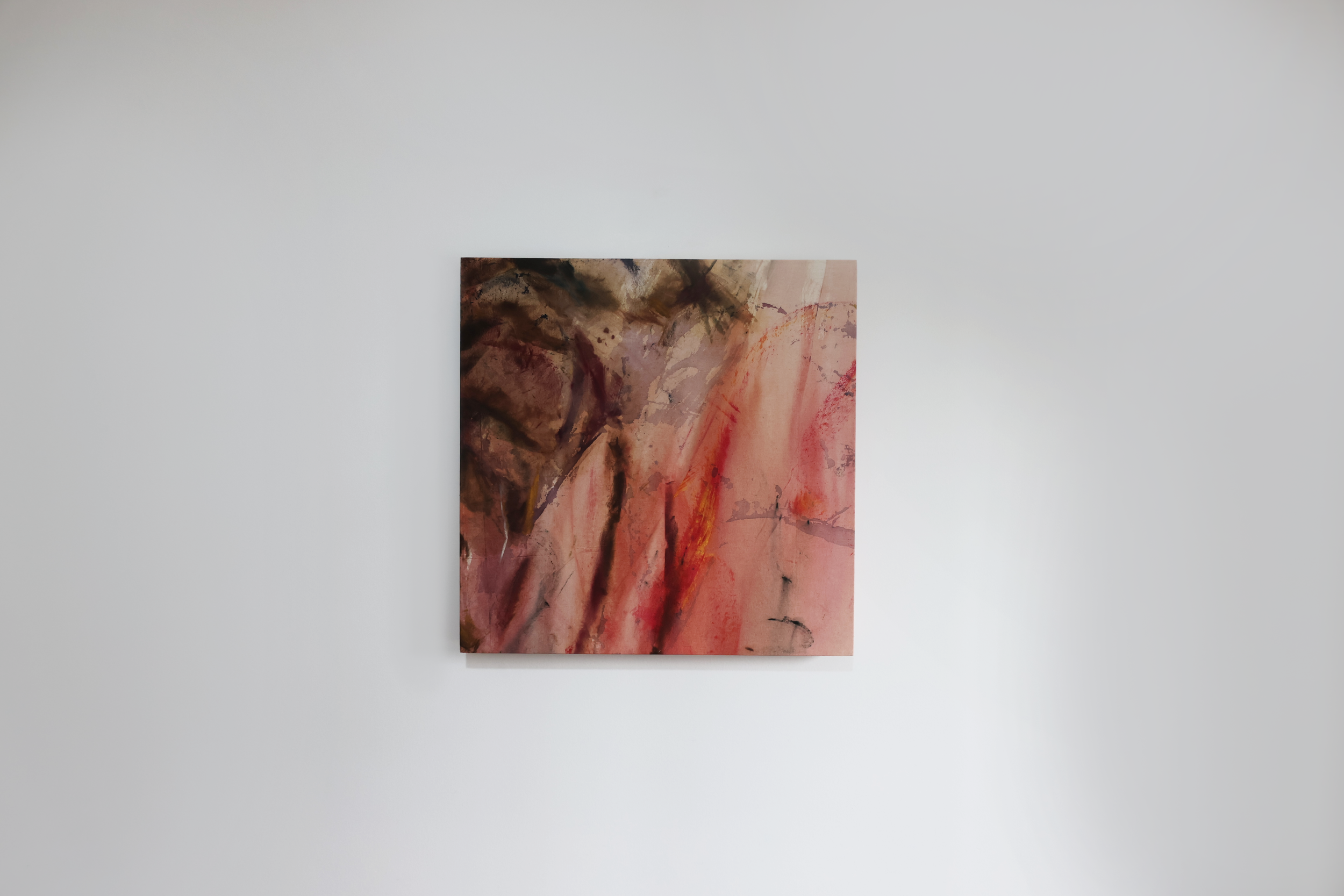 ascar_ 60 x 60 cm _ oil on cotton (1).png