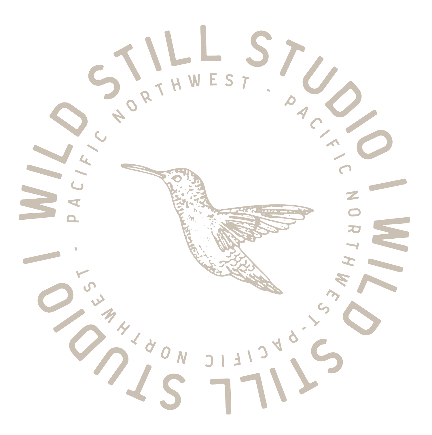 Wild Still Studio