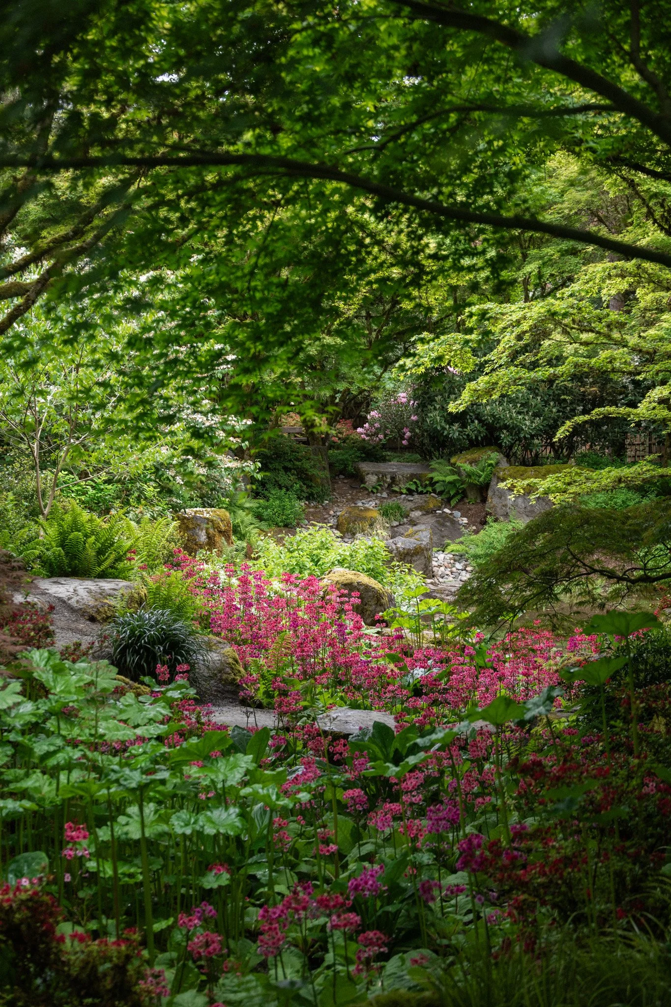 wssutah-177.jpg