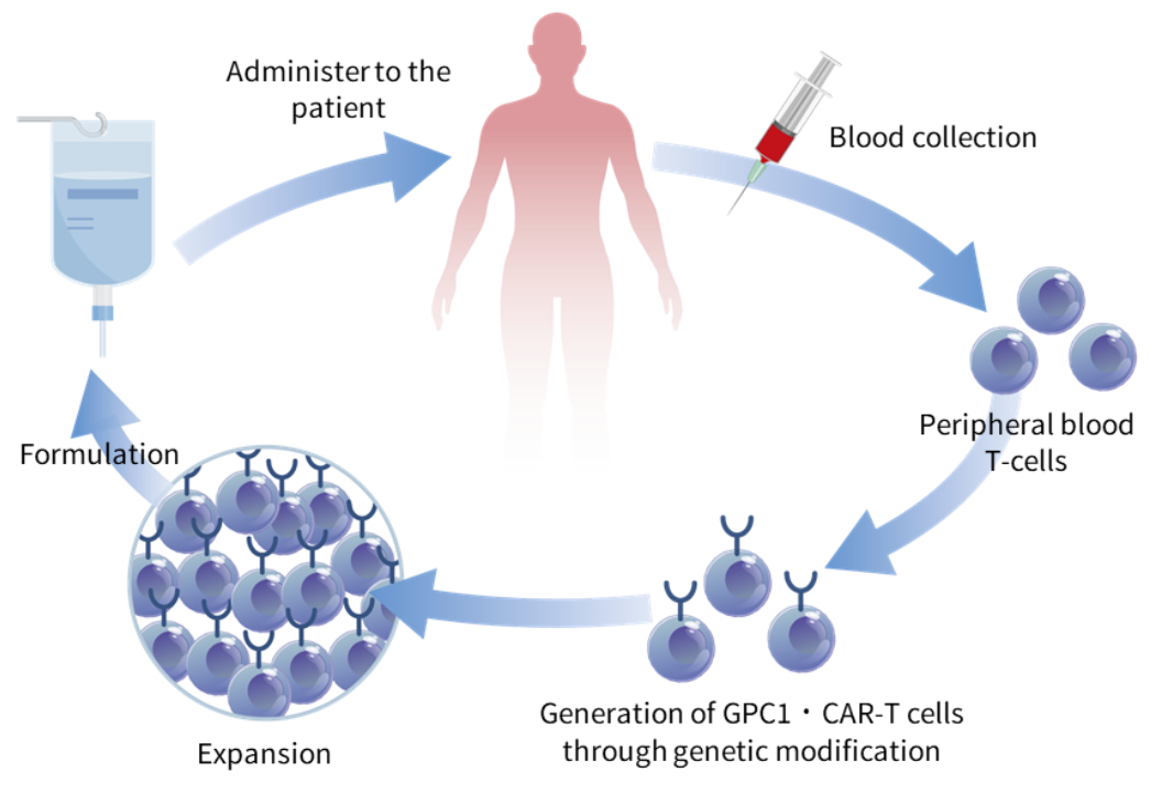 CAR-T.png