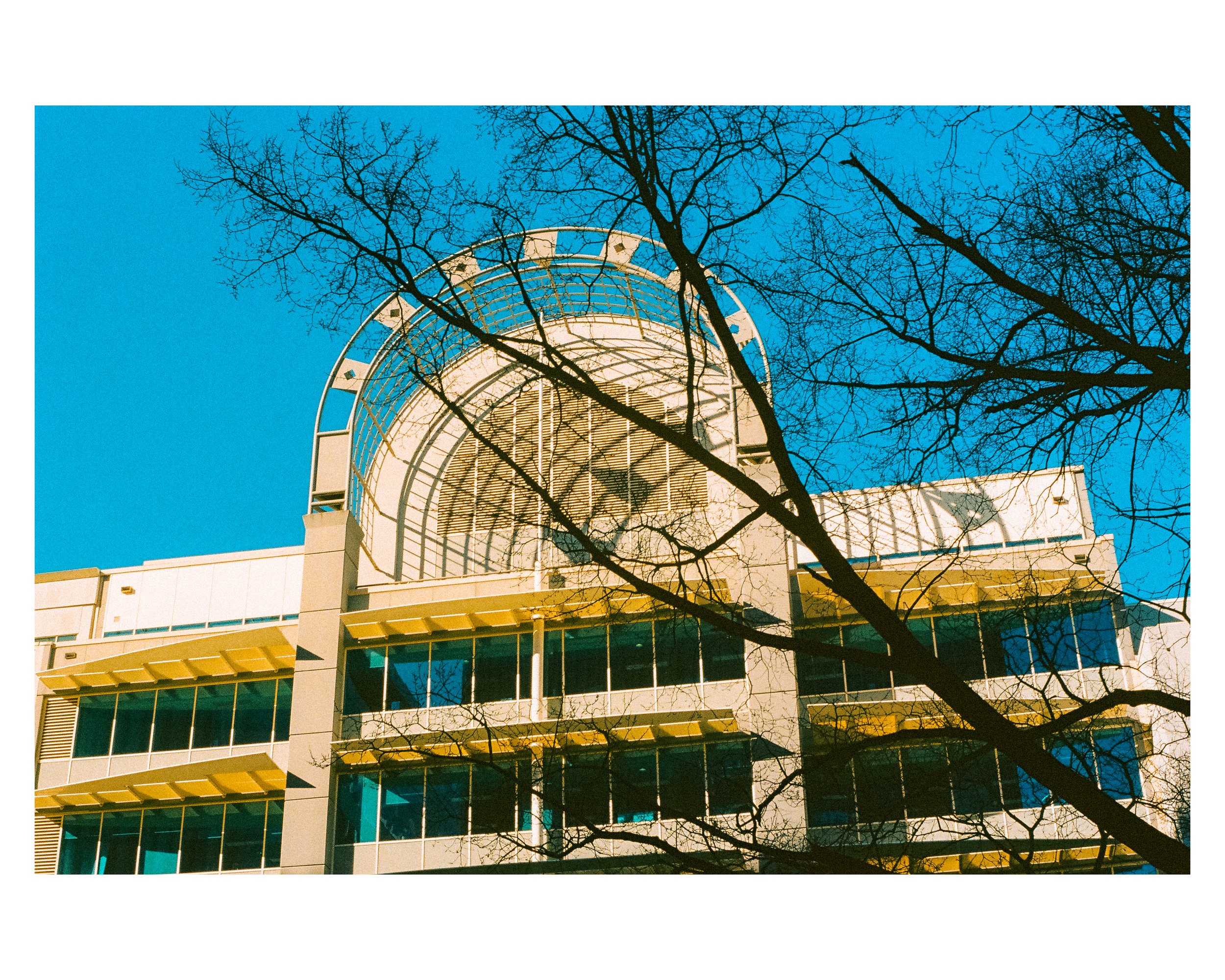 Modern multi-story building with glass windows and yellow accents under a clear blue sky, with leafless tree branches in the foreground.