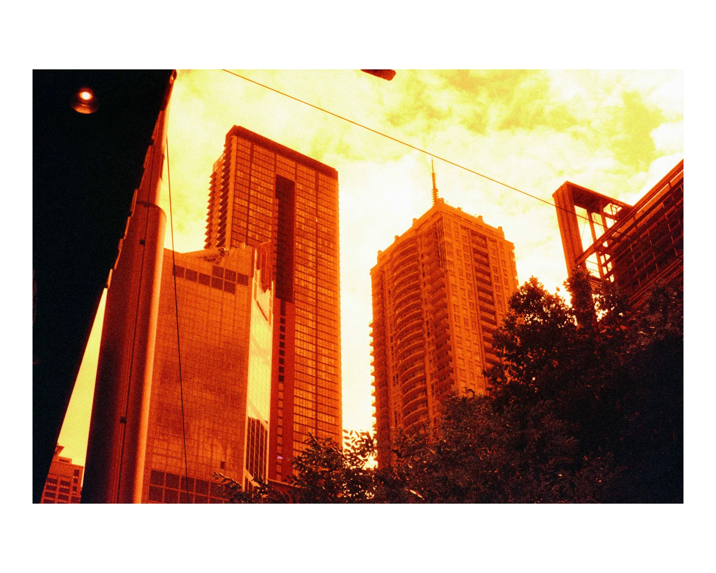 Skyscrapers under a yellow sky with trees in the foreground.